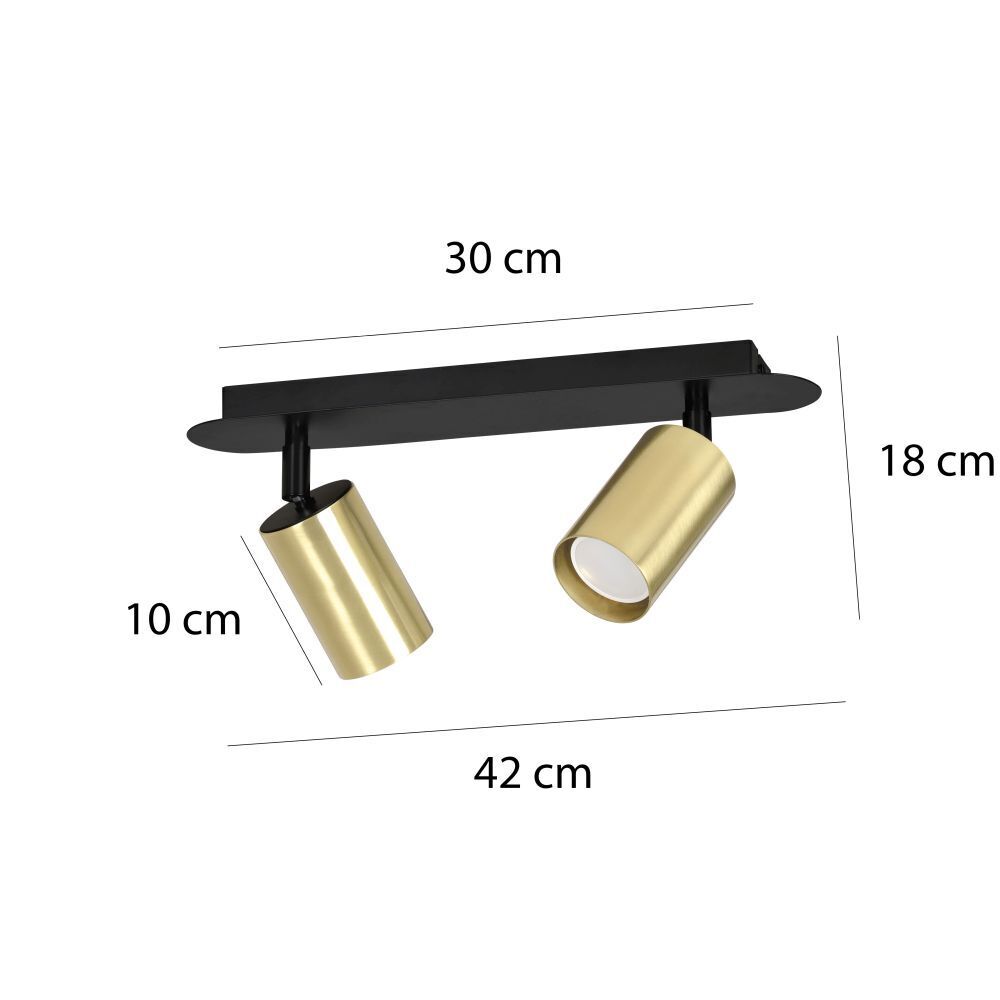 Deckenleuchte Schwarz Gold 2 flammig GU10 ELLIOT