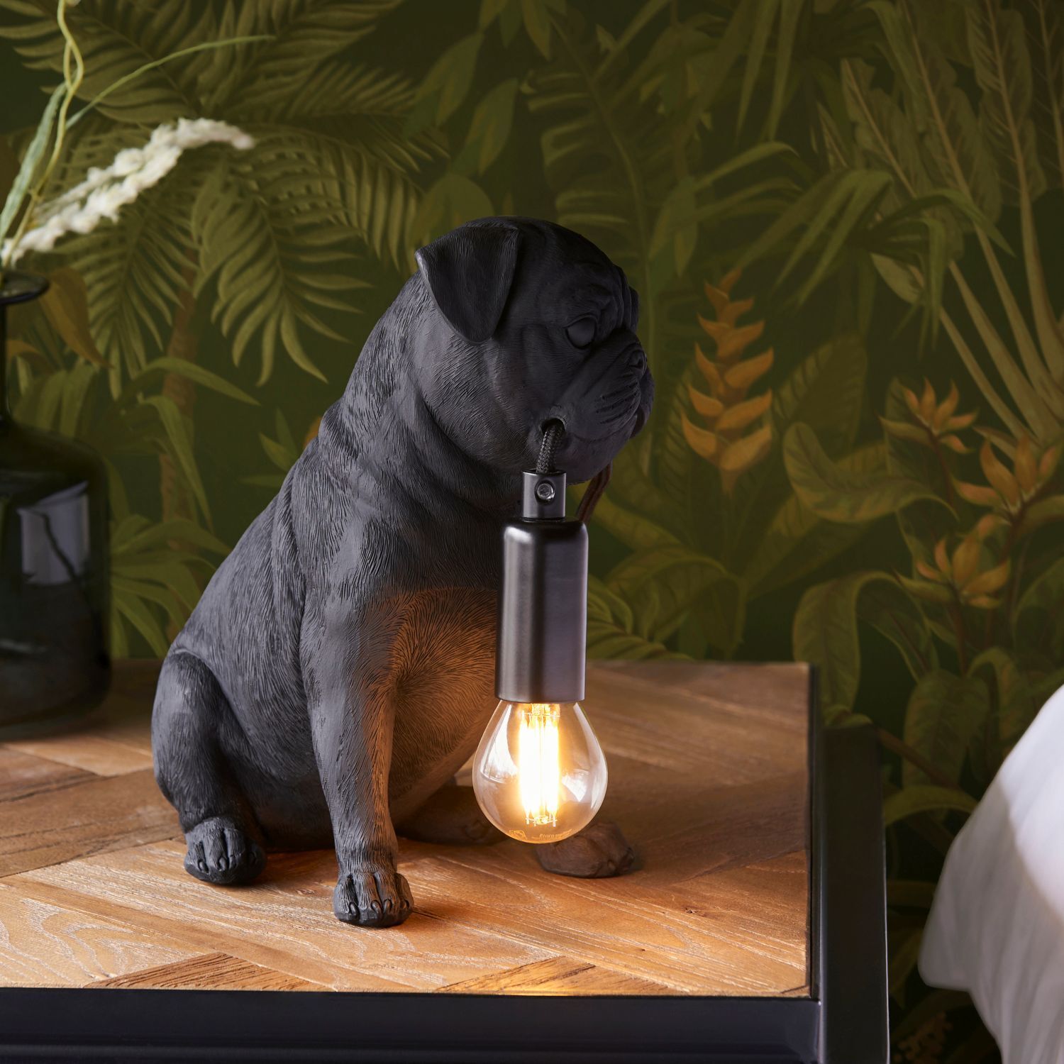 Lampe, Licht, Hund, Säugetier, Haustier