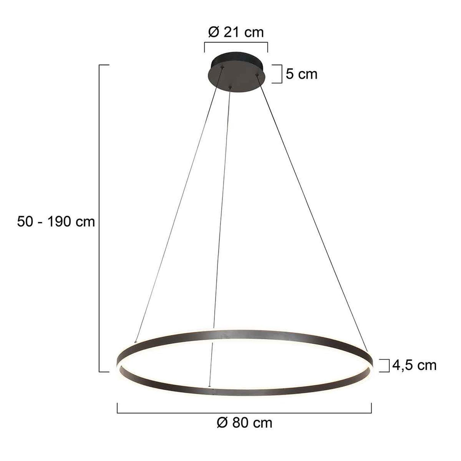 LED Hängelampe Metall Kunststoff 80 cm rund 60 W 2700 K