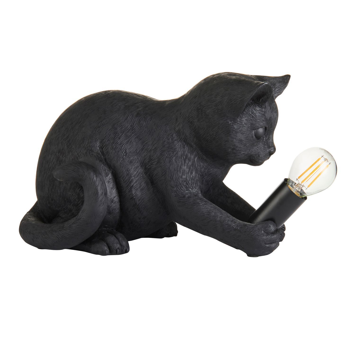 Licht, Tier, Katze, Säugetier, Haustier