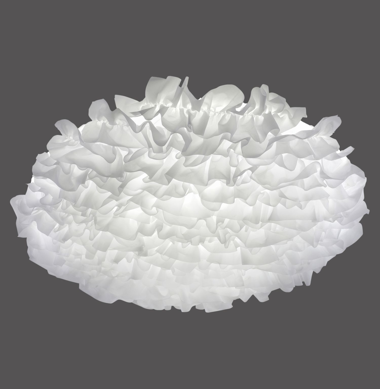 Blume, Pflanze, Rose, Lampe