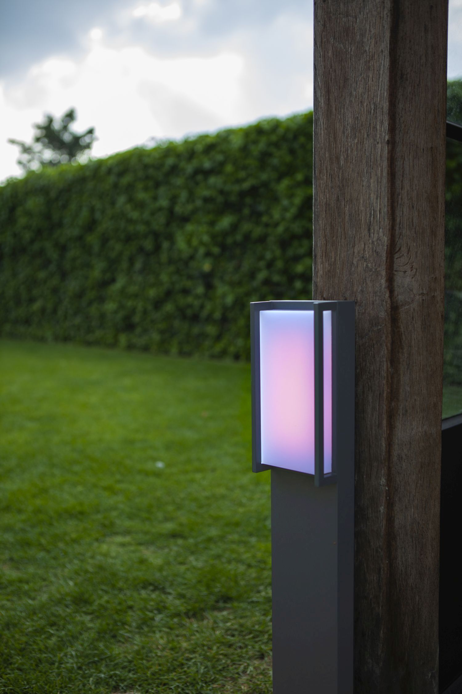 Beleuchtung, Gras, Pflanze, Lampe