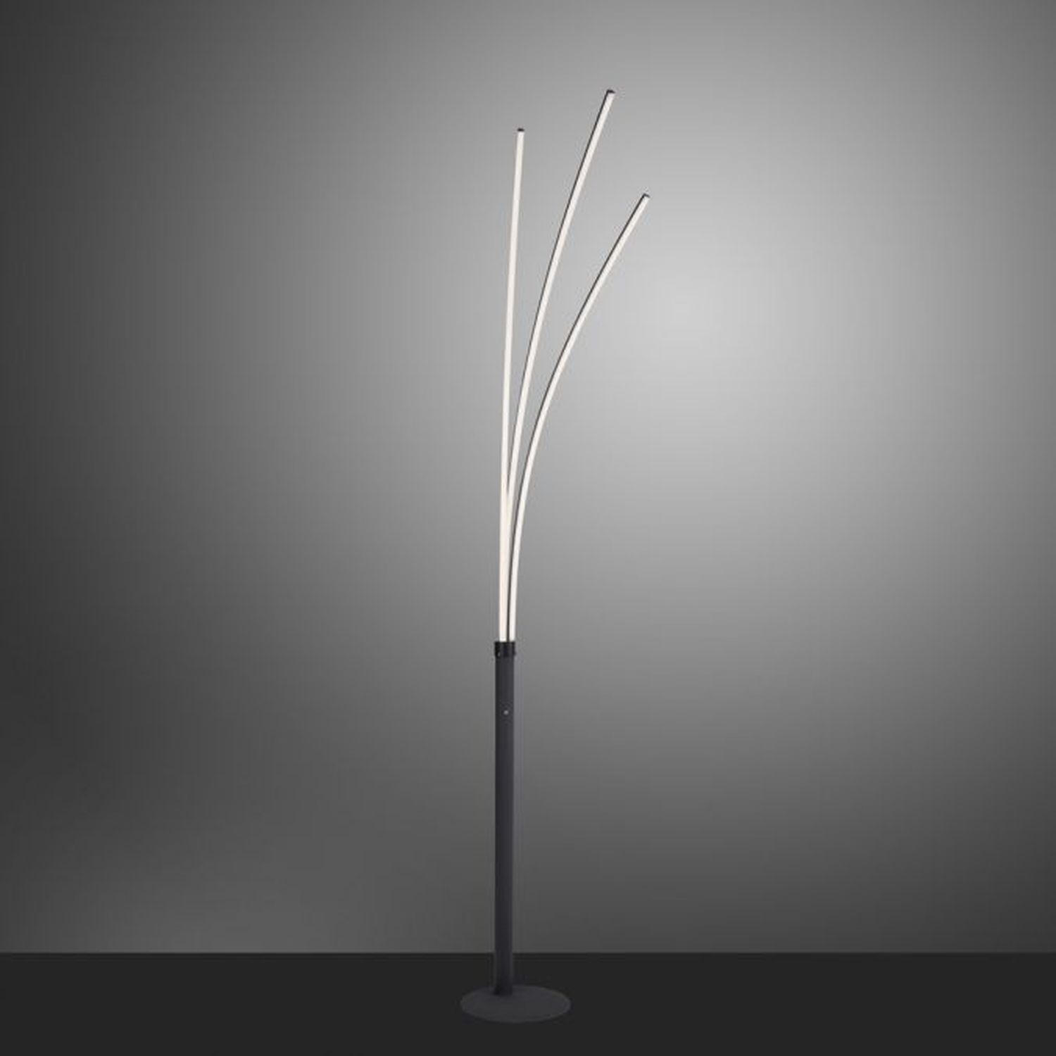 Lampe