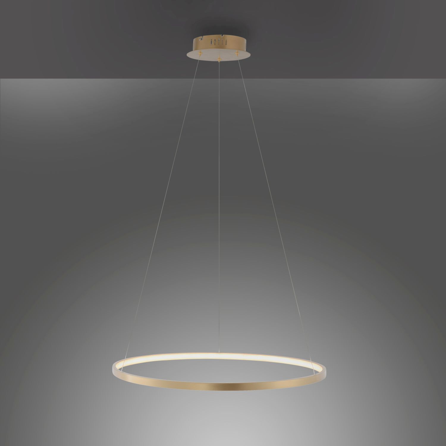 LED Hängelampe Ring in Gold Metall Ø60 cm 3670 lm 29 W Leuchter, Lampe, Deckenleuchte