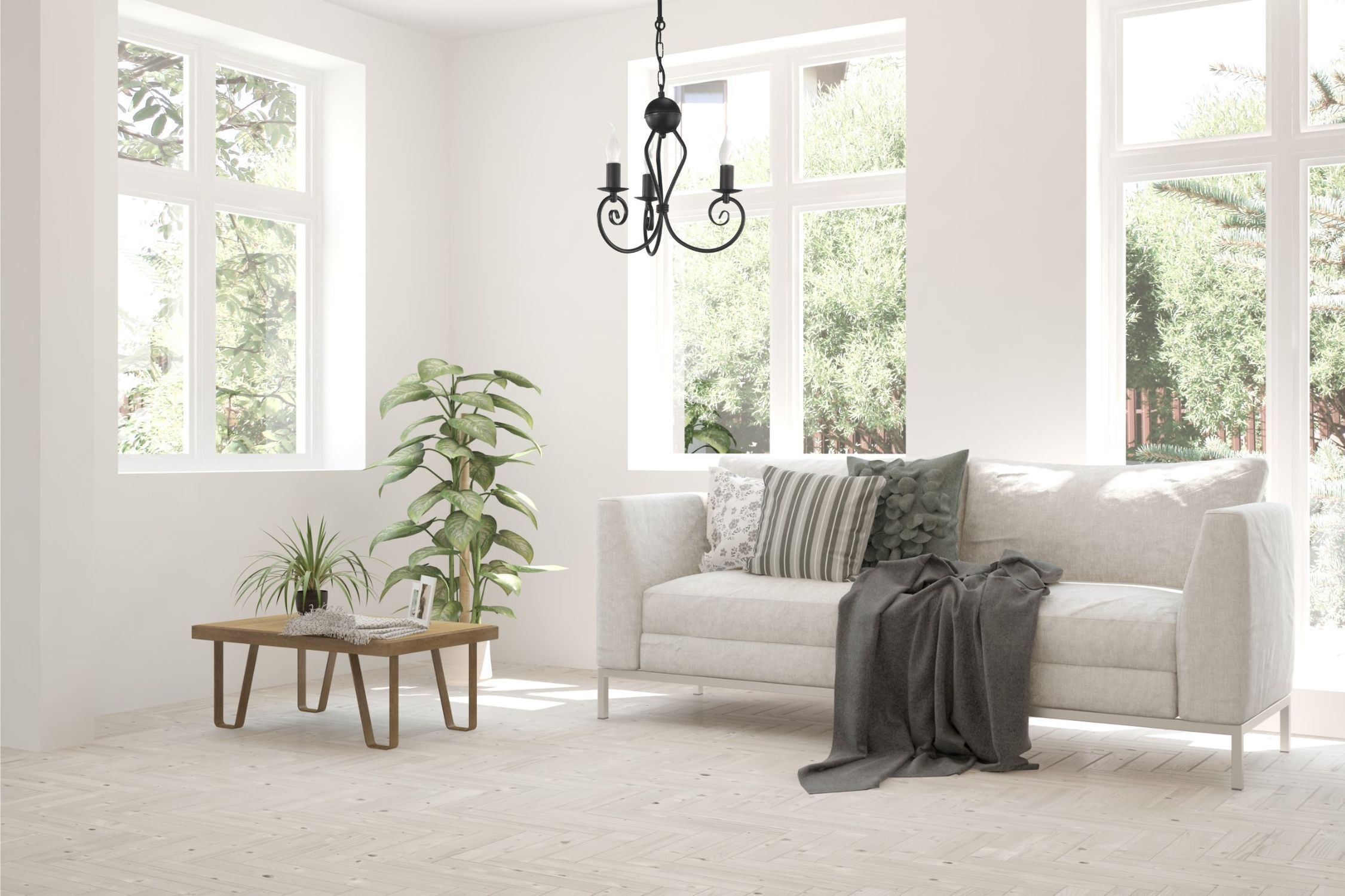 Pflanze, Französisches Fenster, Fenster, Couch, Dekoration für Zuhause