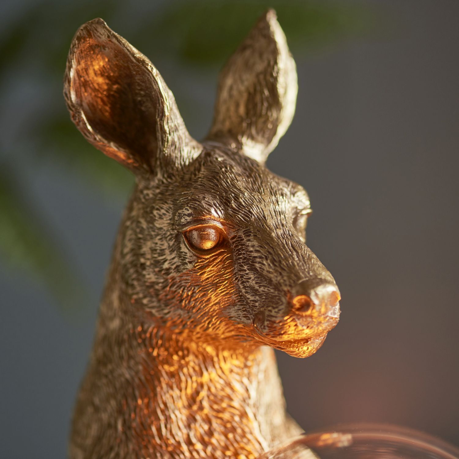 Tier, Hase, Säugetier, Nagetier, Vogel