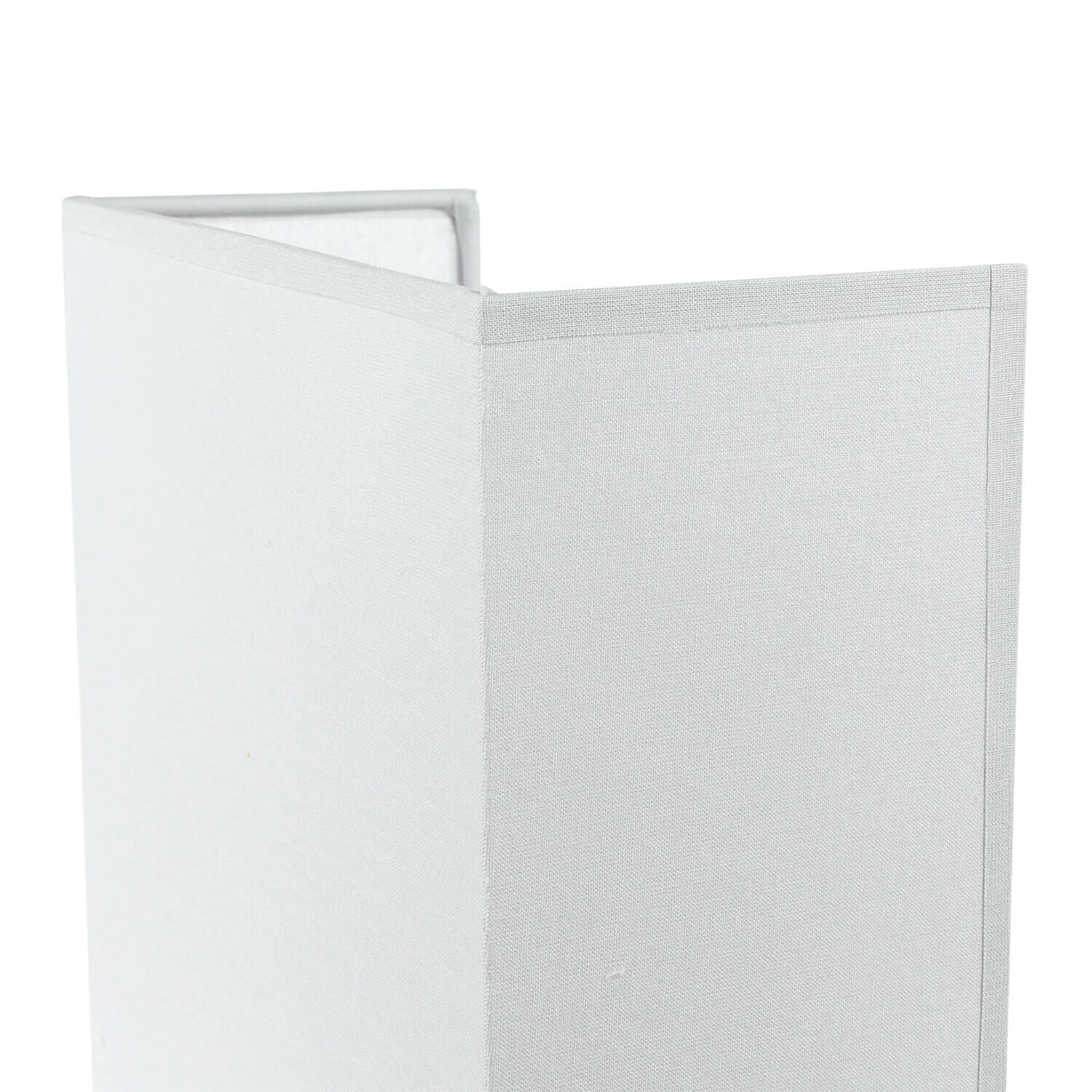 Buch, Veröffentlichung