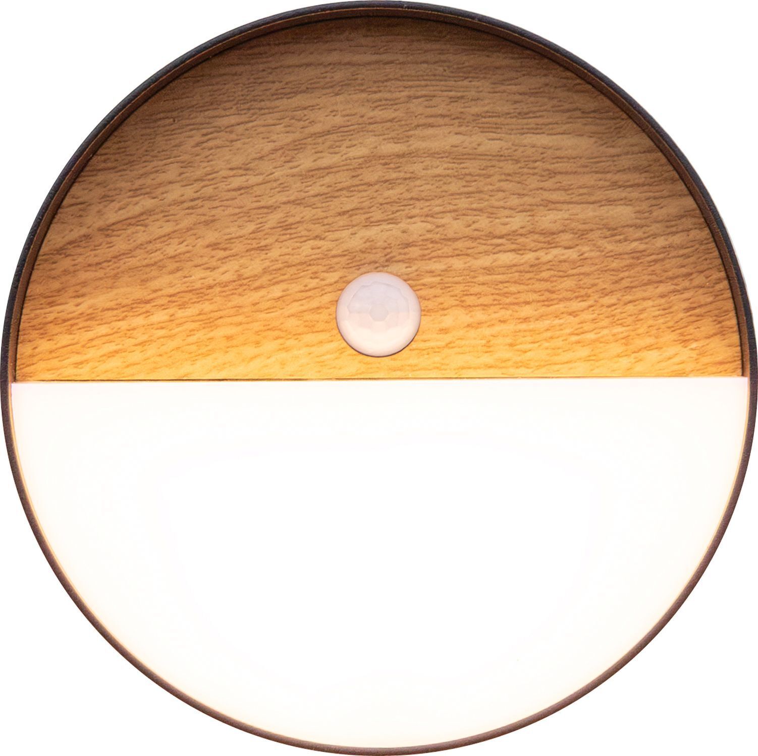 LED Wandlampe Bewegungsmelder dimmbar Akku Ø15 cm Natur Photographie, Sphäre