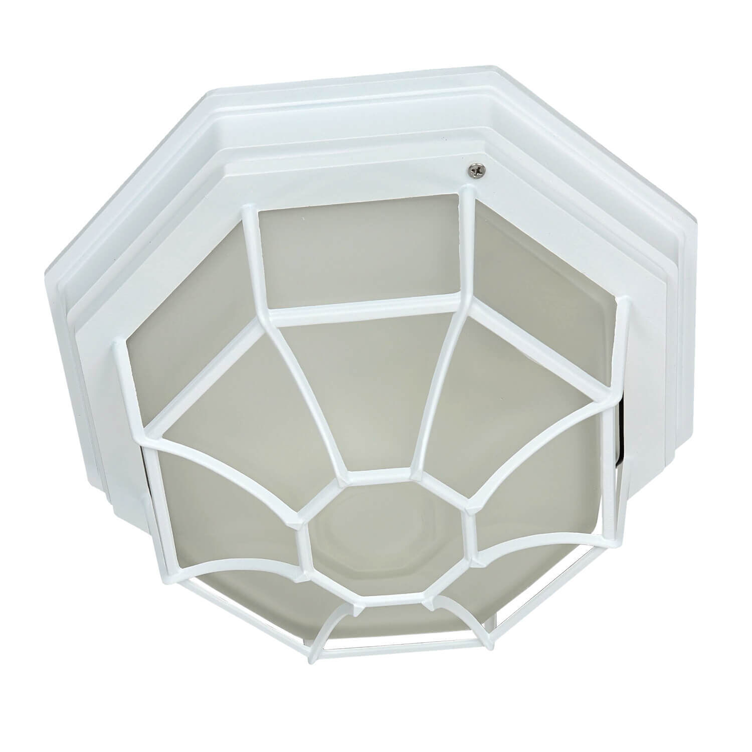 Deckenleuchte, Leuchte