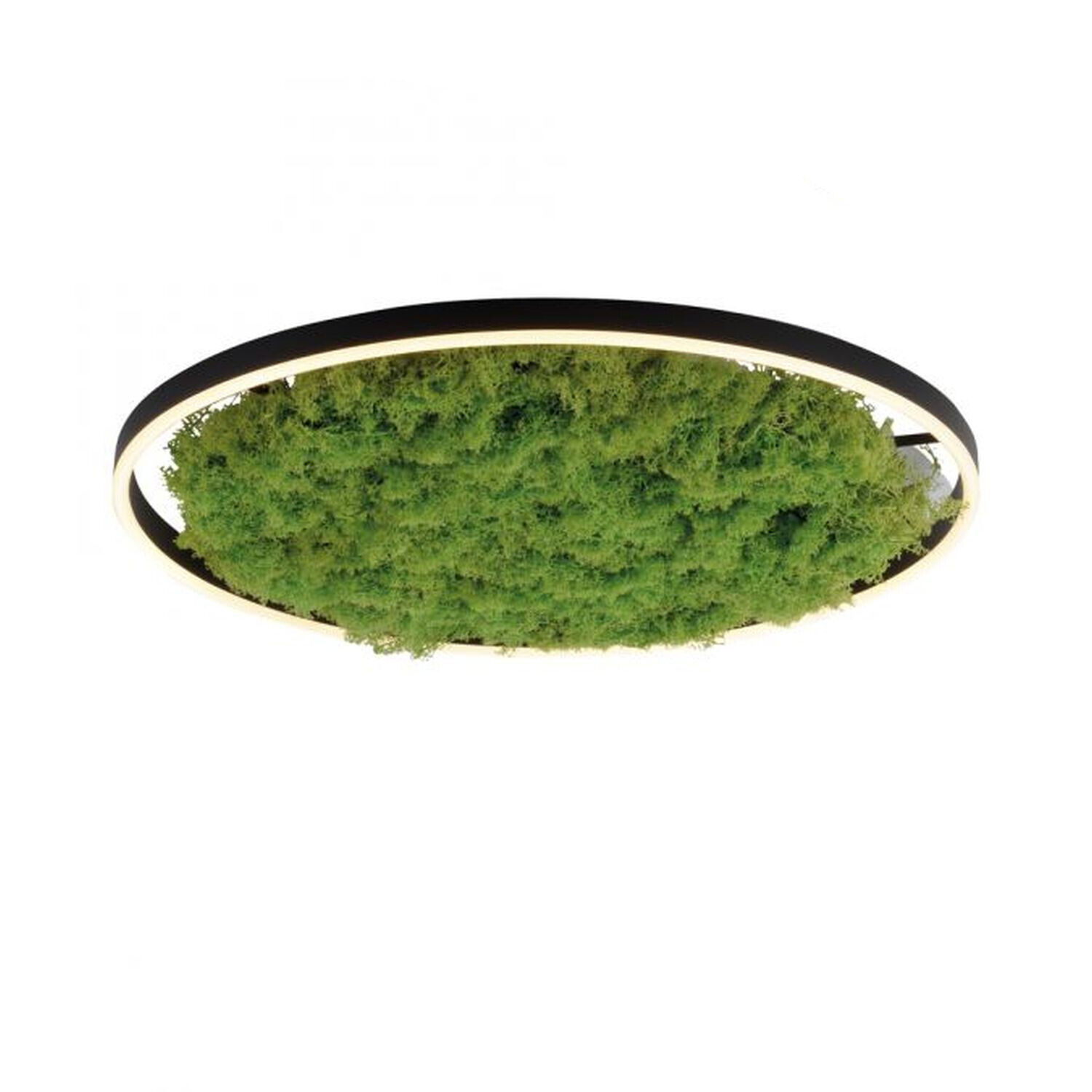 Dimmbare LED Deckenlampe Moos Schwarz 3000 K 28 W