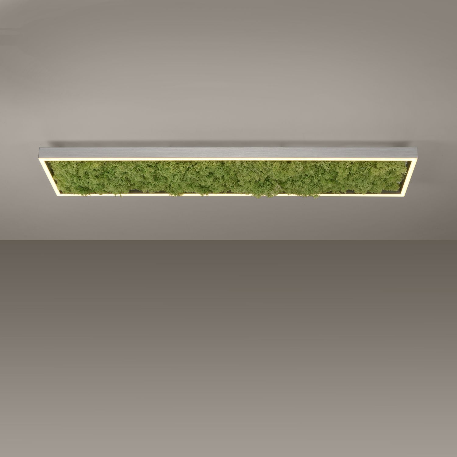 LED Deckenleuchte Moos L:100 cm 3000 K 3550 lm aus Moos