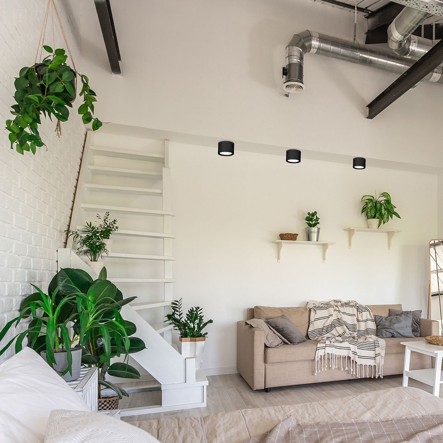 Dekoration für Zuhause, Drinnen, Innenarchitektur, Pflanze, Wohnzimmer