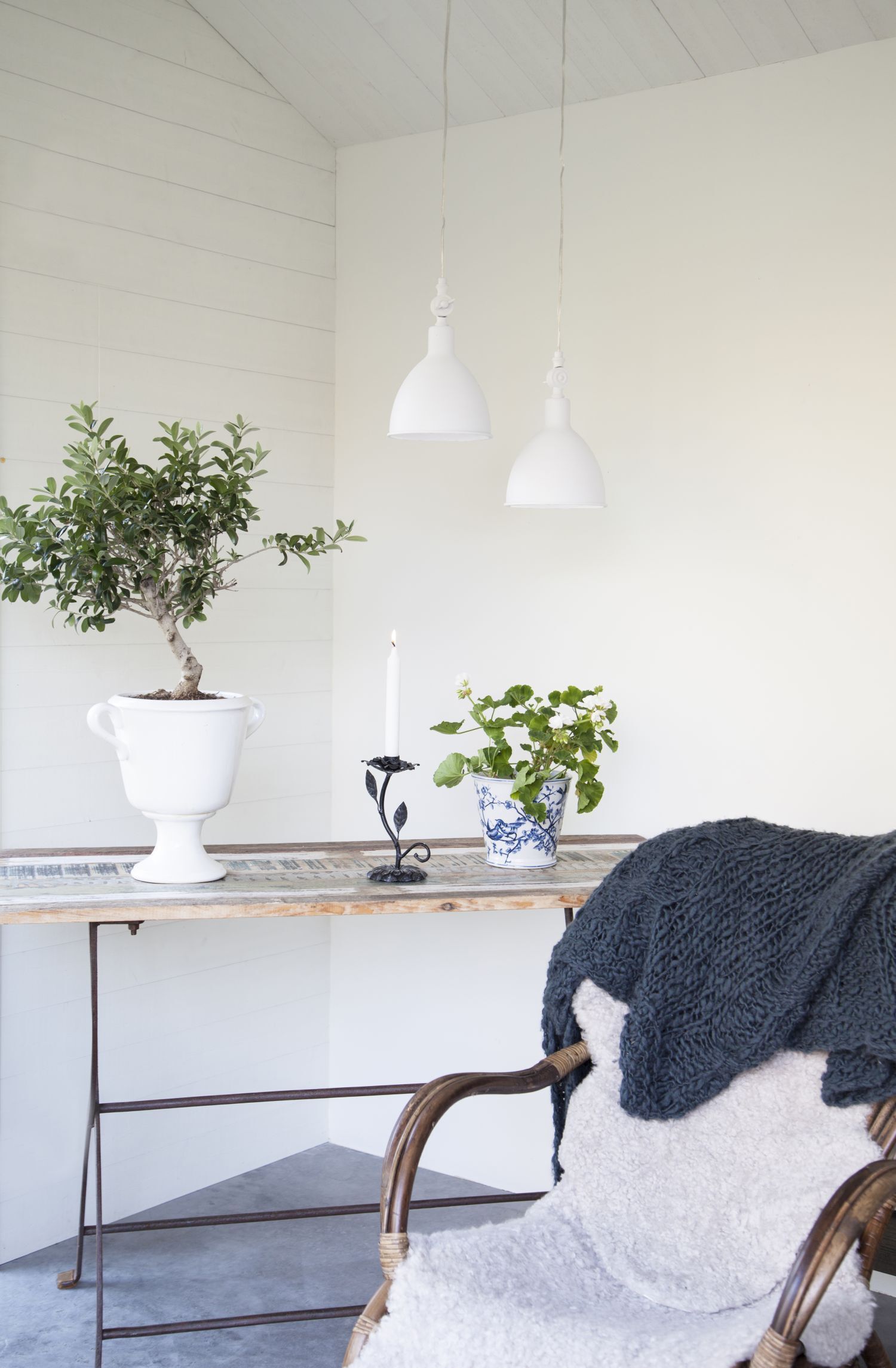 Pflanze, Pflanze im Topf, Innenarchitektur, Tabelle, Pflanzgefäß