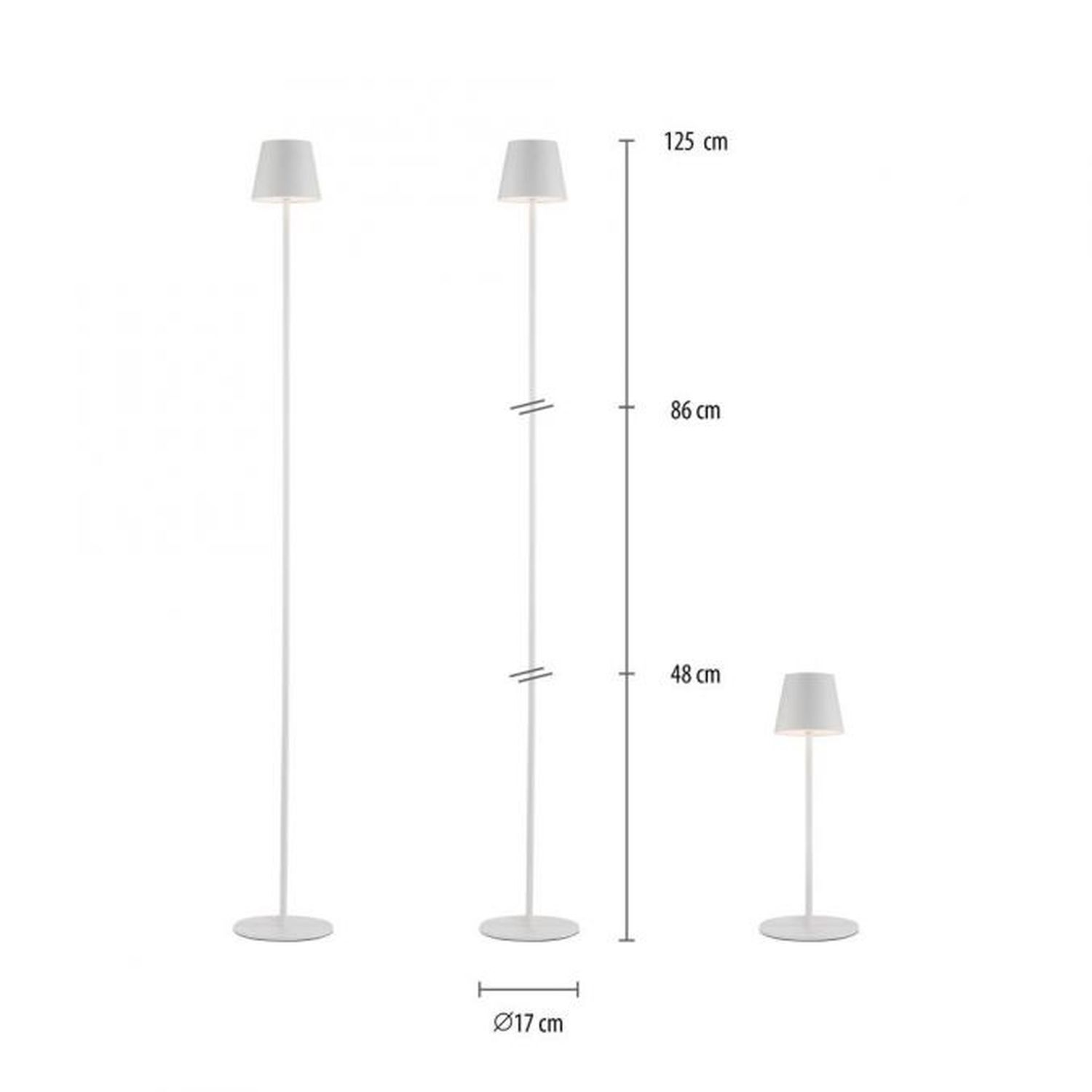 Lampe, Lampenschirm