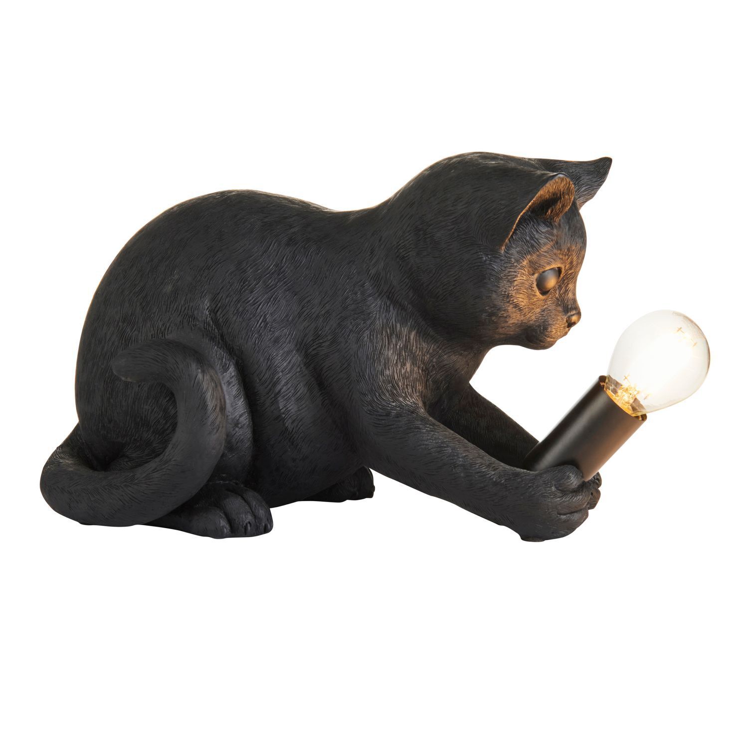 Licht, Tier, Säugetier, Schwein