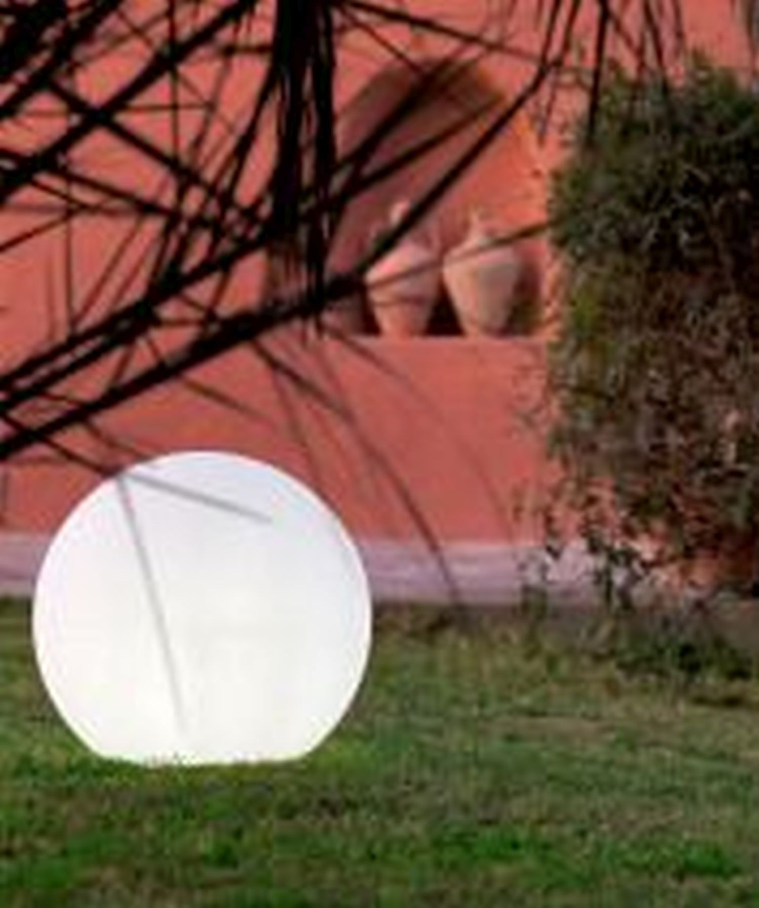 Sphäre, Wohnen, Villa, Pflanze, Pflanze im Topf