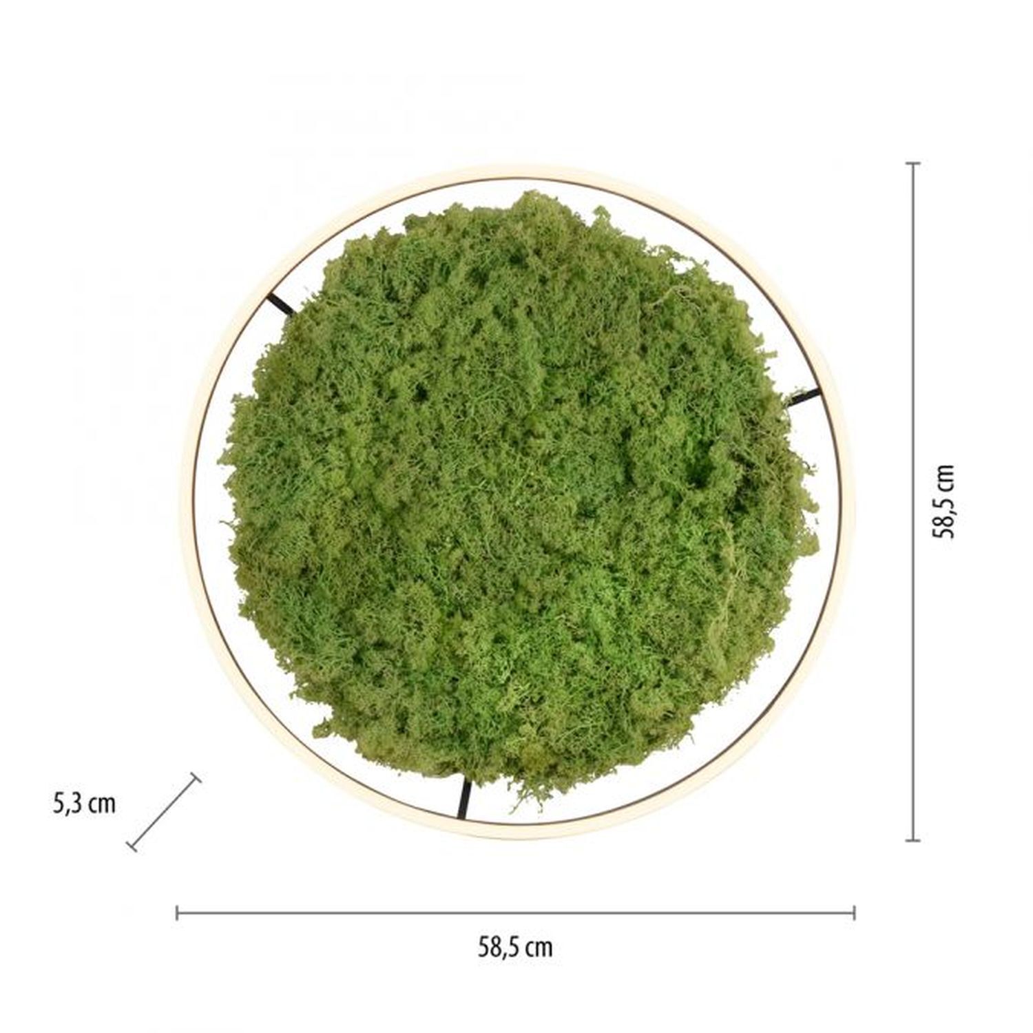 Dimmbare LED Deckenlampe Moos Schwarz 3000 K 28 W Moos, Pflanze, Puder, Vegetation, Teller