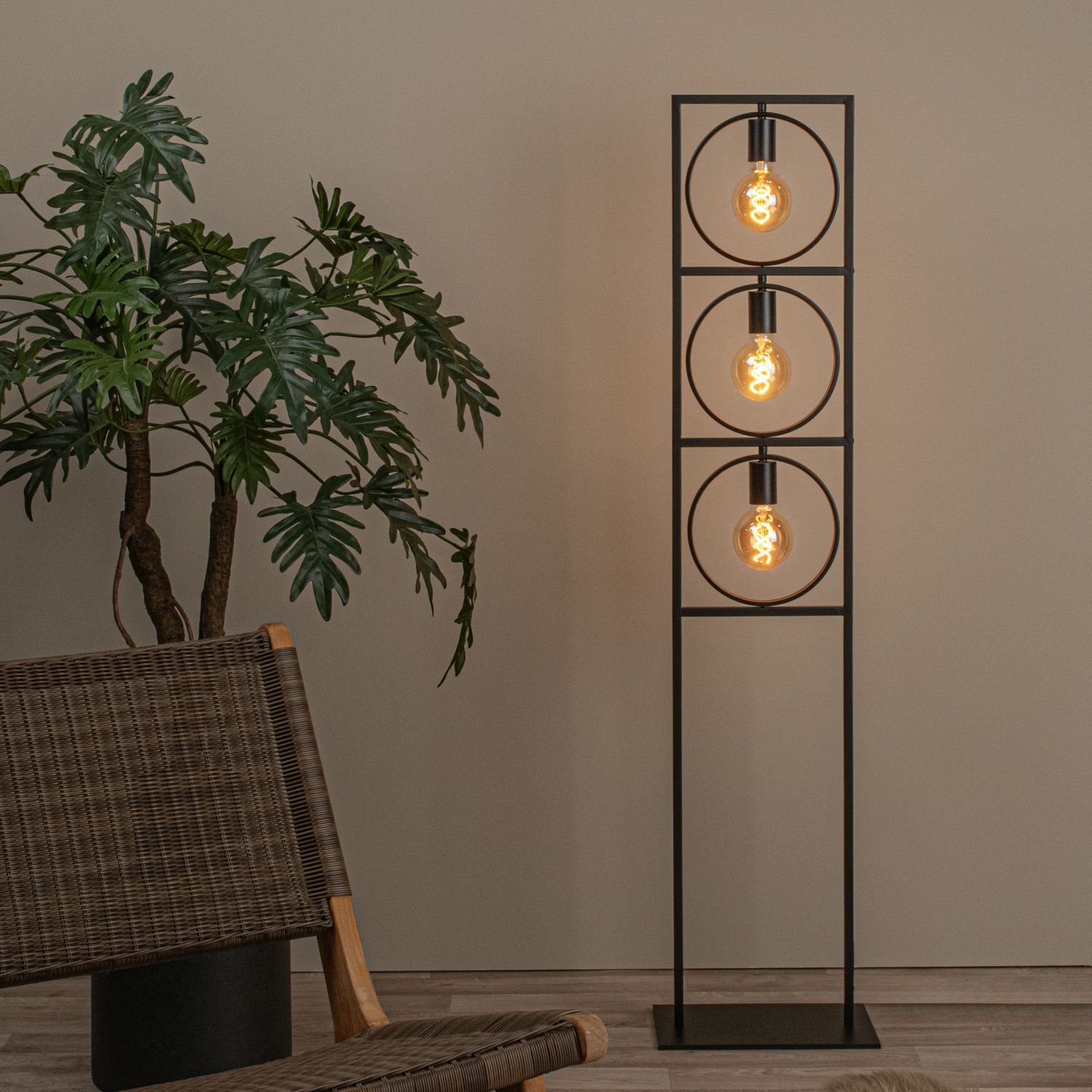 Lampe, Pflanze, Stehlampe, Stuhl, Mobiliar