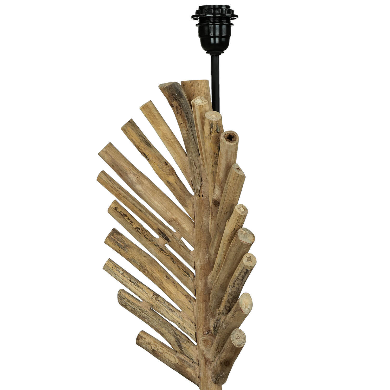 Holz