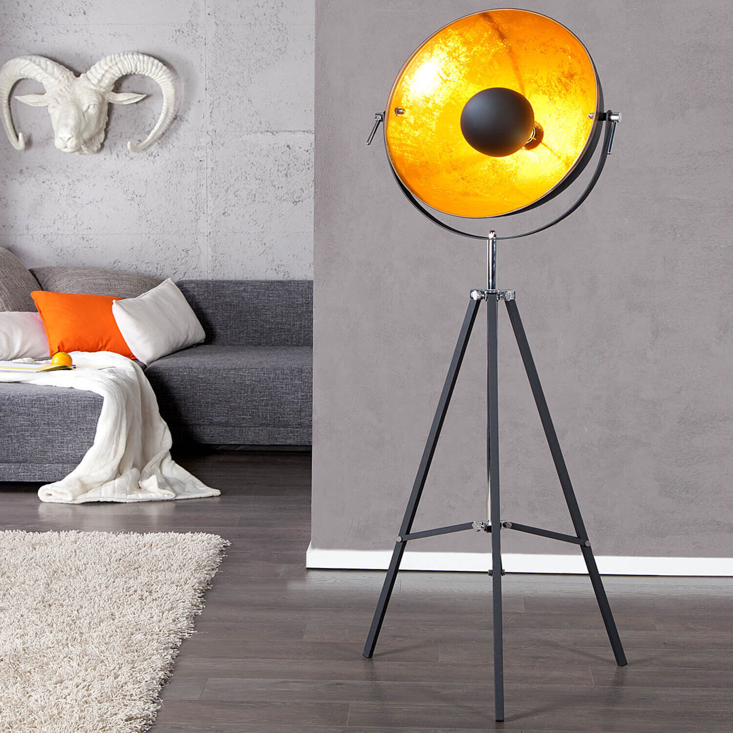 Lampe, Tier, Vieh, Säugetier, Schaf