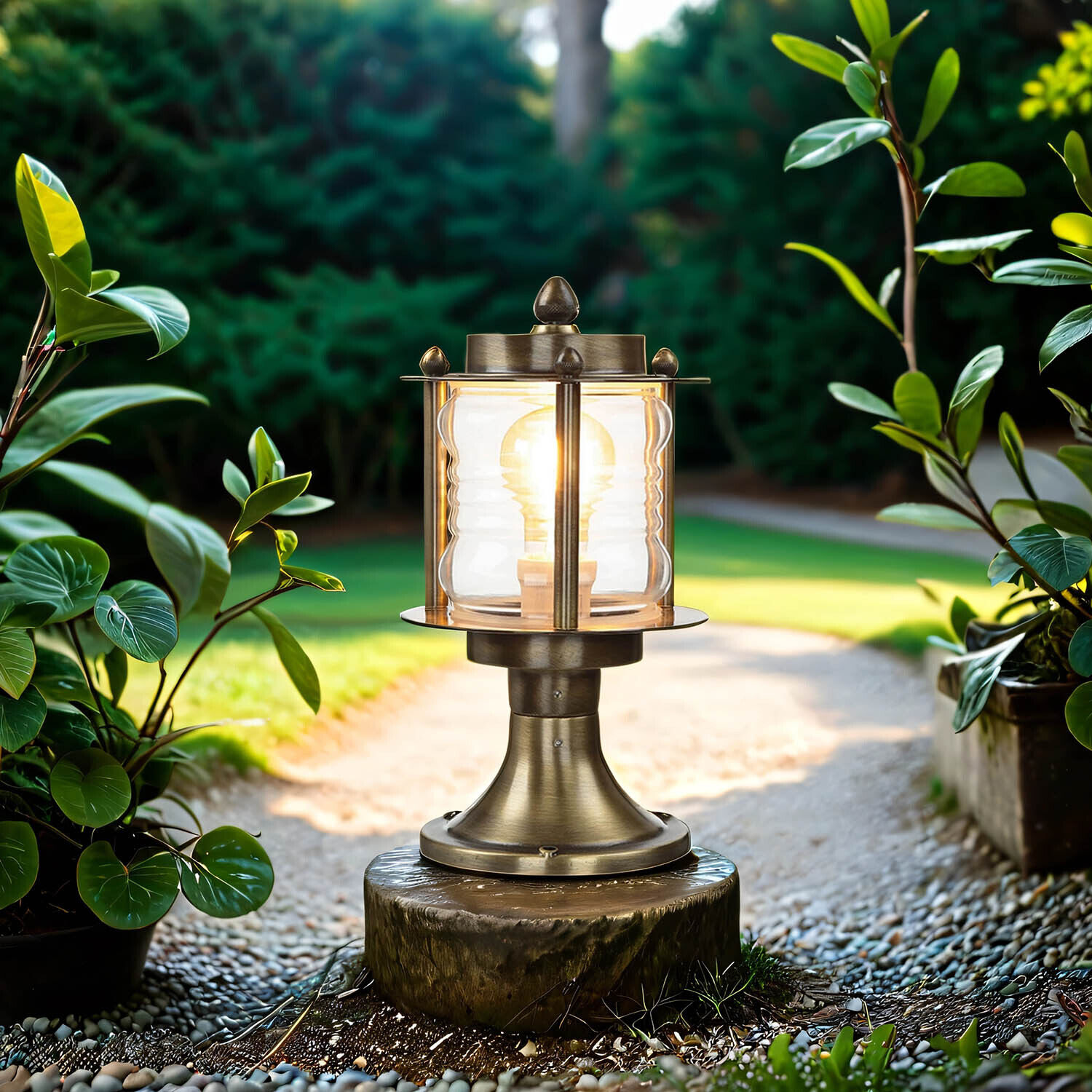 Lampe, Pflanze, Straße