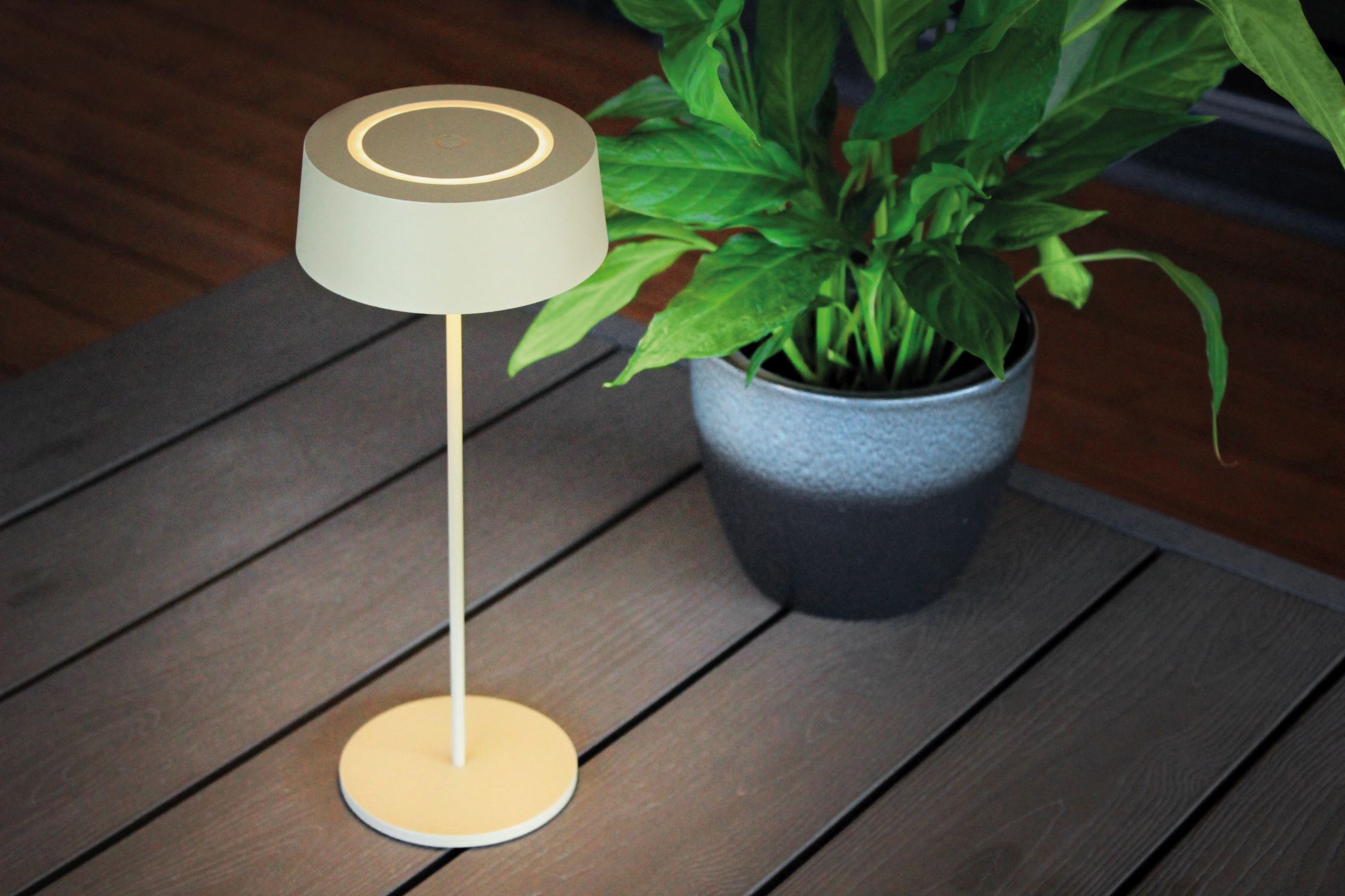 Lampe, Klebeband, Pflanze