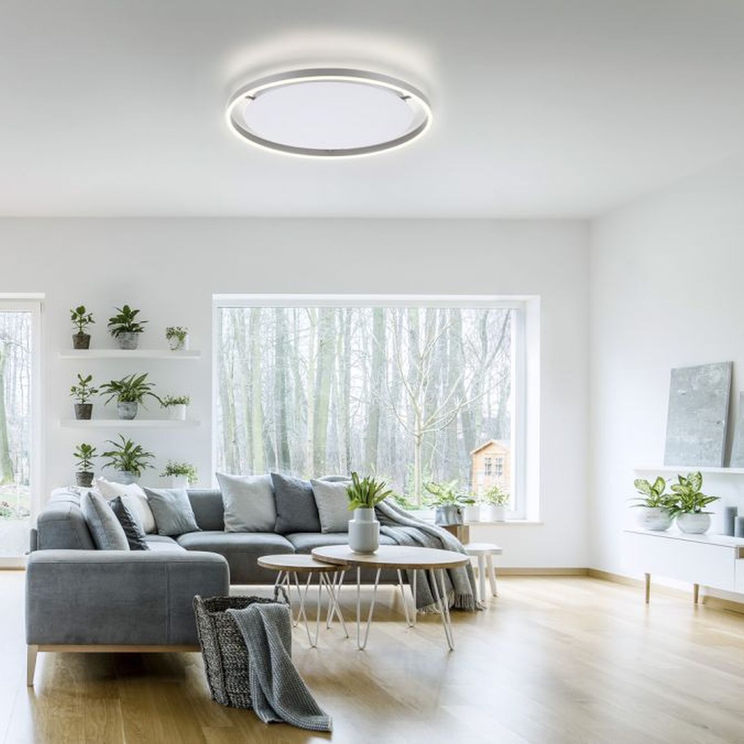 LED Deckenlampe dimmbar Aluminium Ø58,5 cm 3650 lm 28 W Dekoration für Zuhause, Couch, Mobiliar, Pflanze, Wohnzimmer