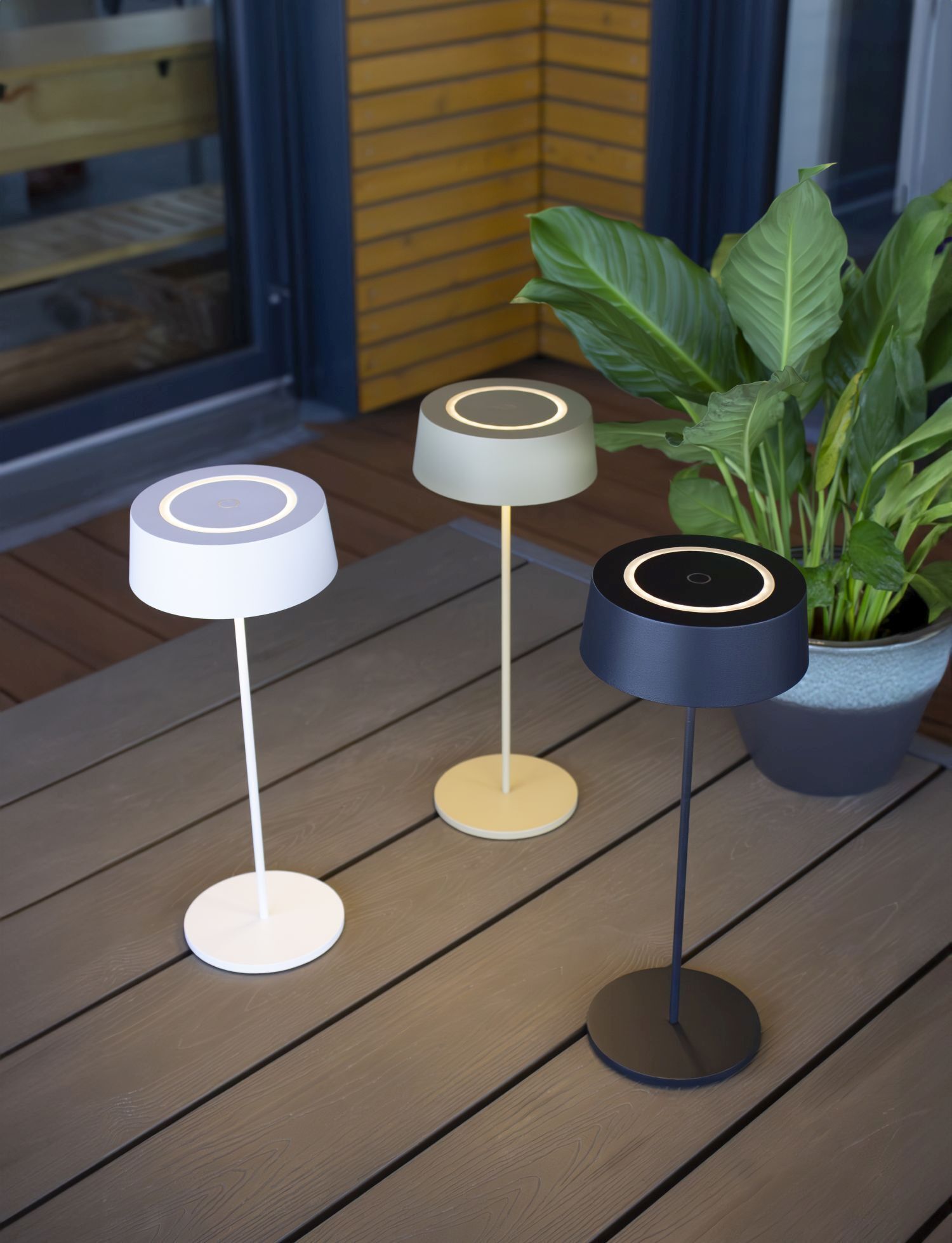 Lampe, Klebeband, Pflanze