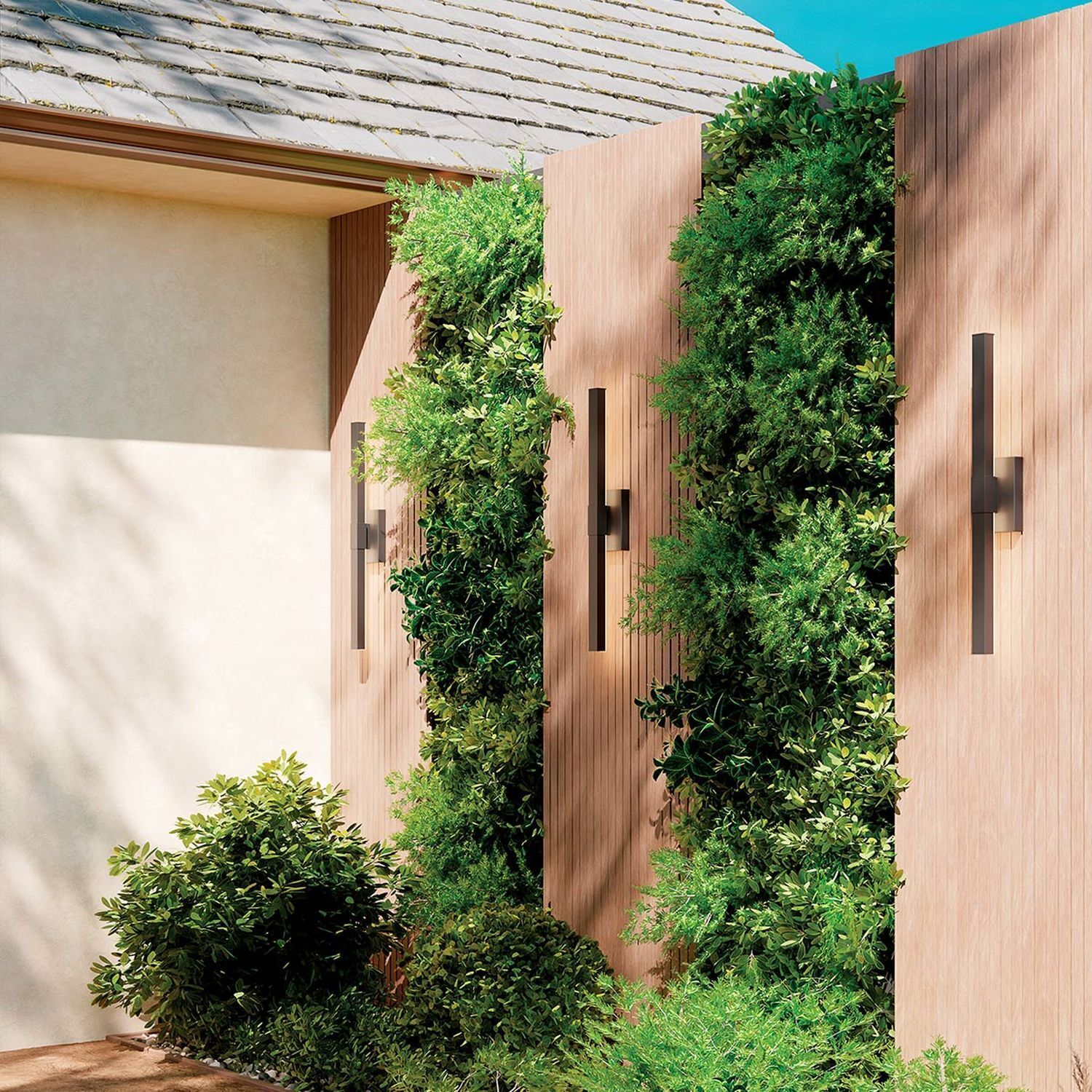 Pflanze, Rebe, Drinnen, Innenarchitektur