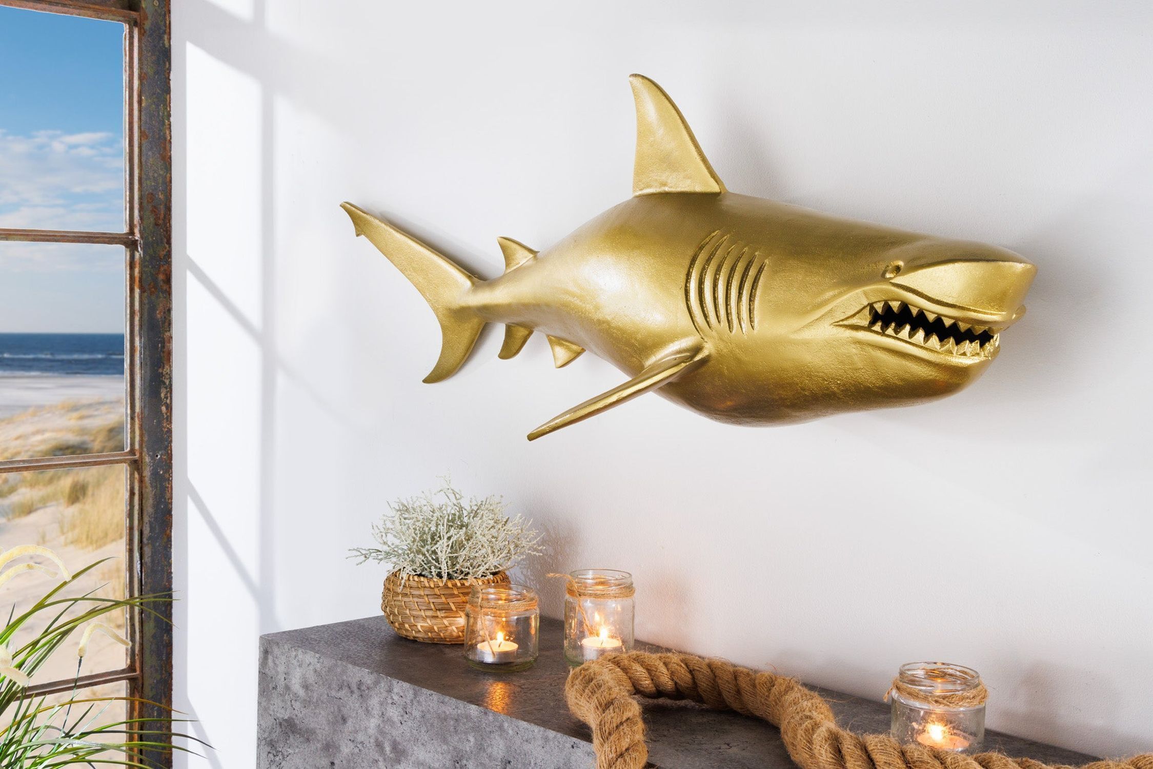 Tier, Fische, Leben im Meer, Hai