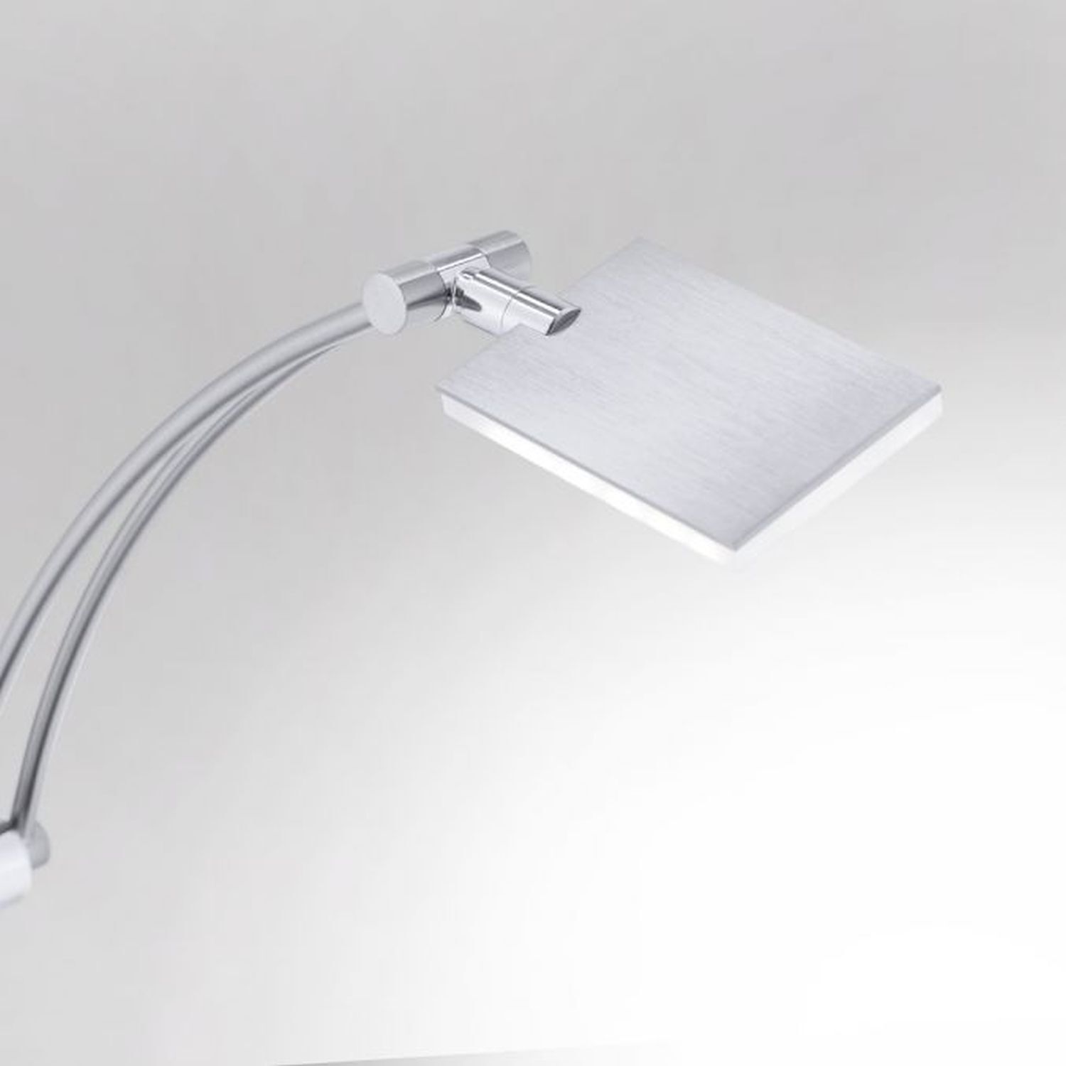 Lampe, Drinnen