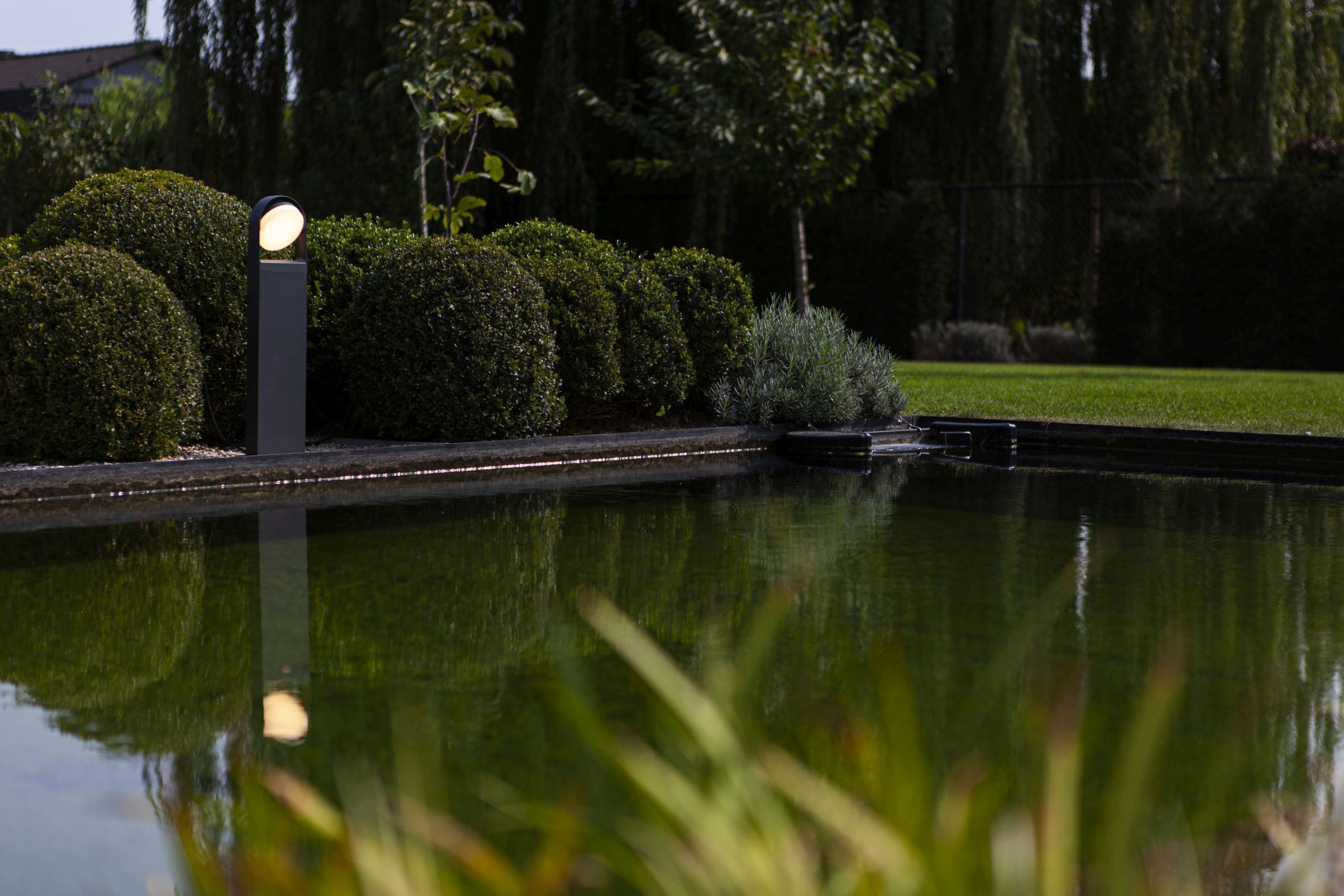 Natur, Draußen, Teich, Baum, Garten