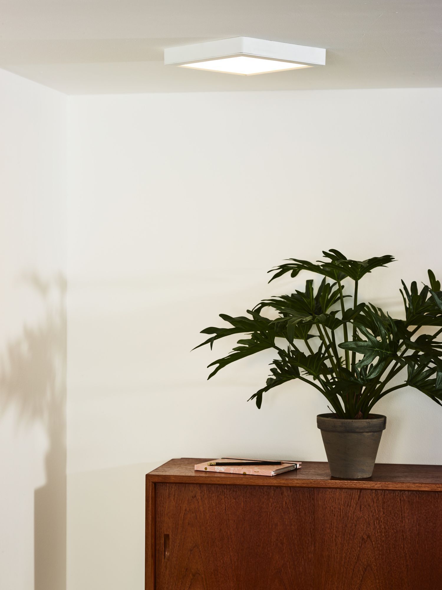 LED Deckenlampe Aluminium Weiß 3000 K B:22 cm rund Pflanze, Pflanze im Topf, Lampe, Deckenleuchte