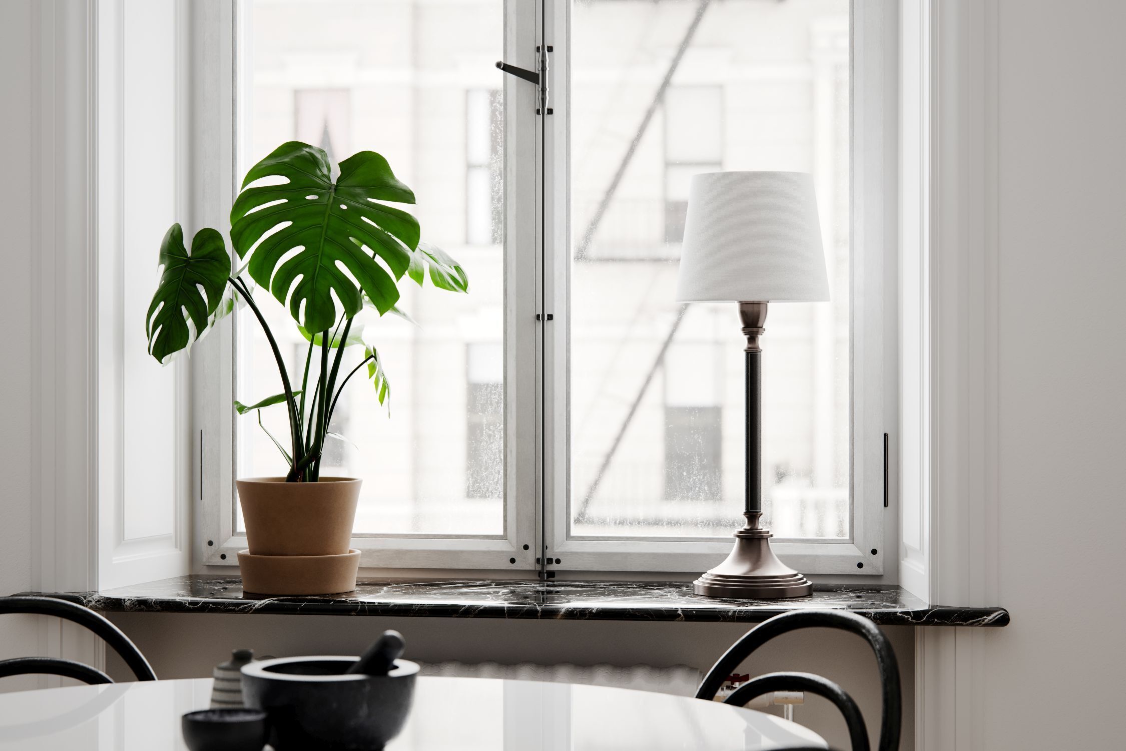 Pflanze, Fenster, Fensterbank, Lampe