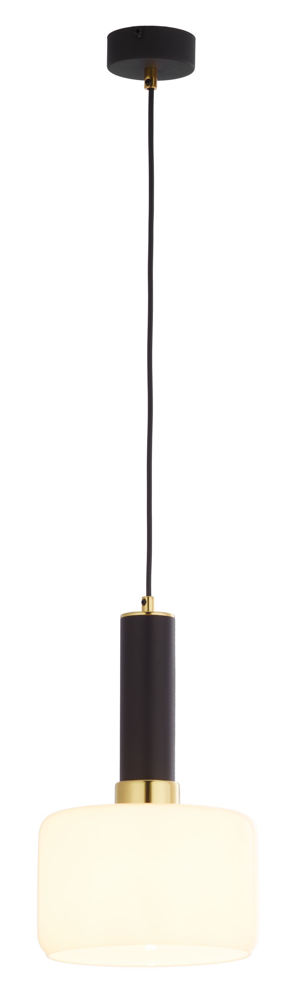 Metall Pendelleuchte Schwarz rund Ø20cm E27 Modern