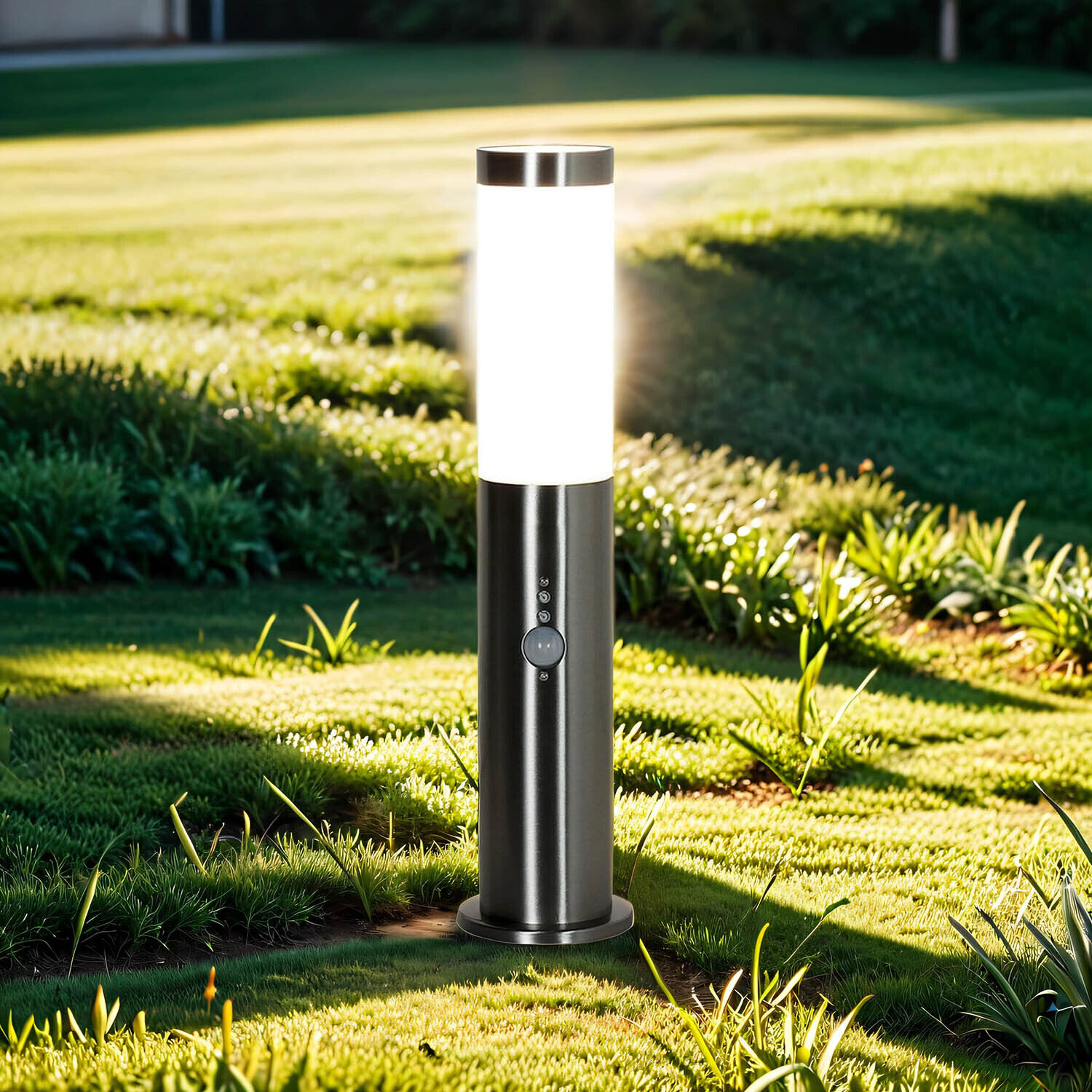 Gras, Pflanze, Lampe