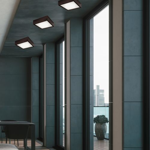 Lampe, Pflanze, Beleuchtung