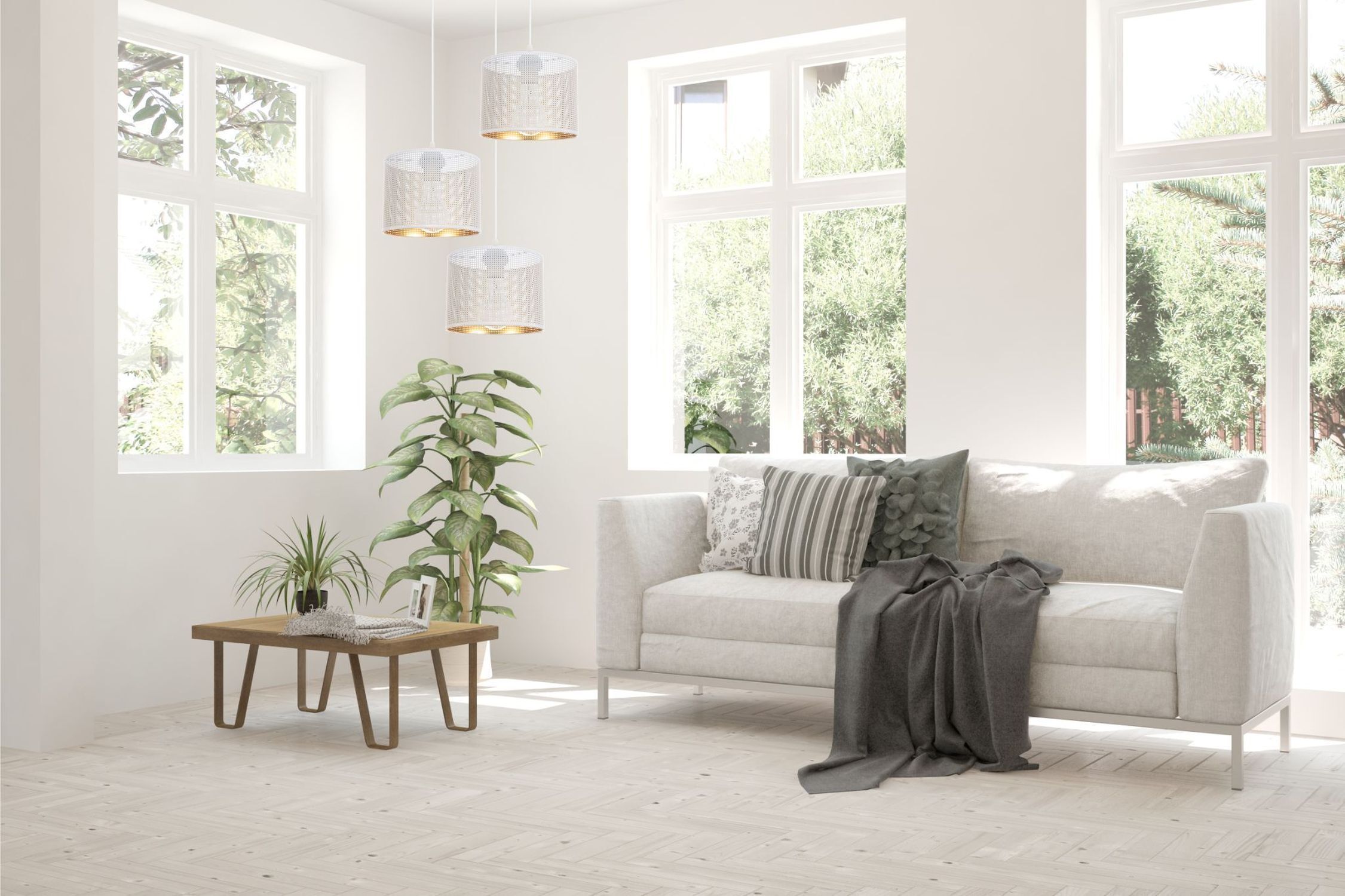 wohnzimmer, sofa, tisch, pflanze, hellerraum