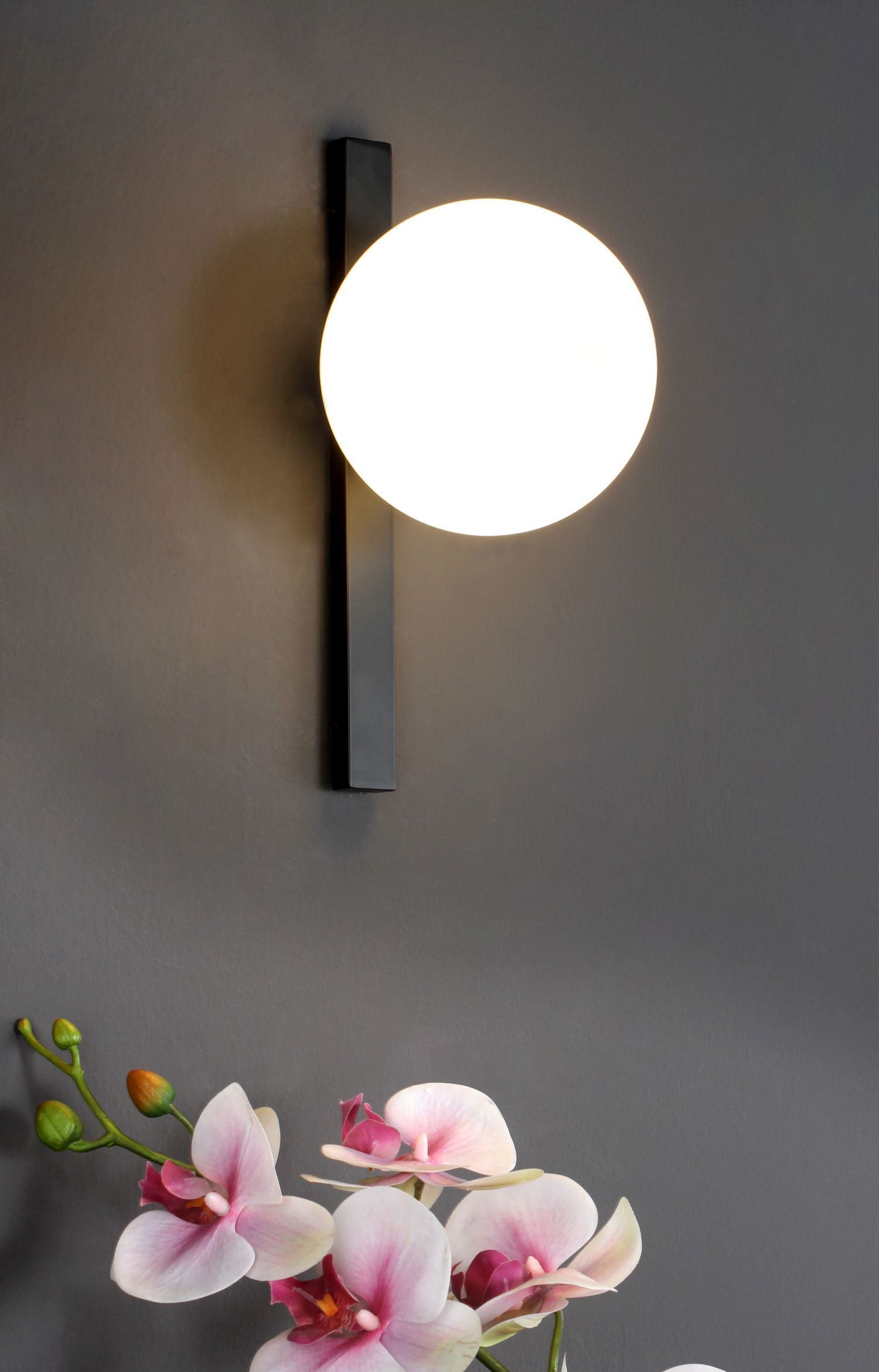 Blume, Pflanze, Lampe
