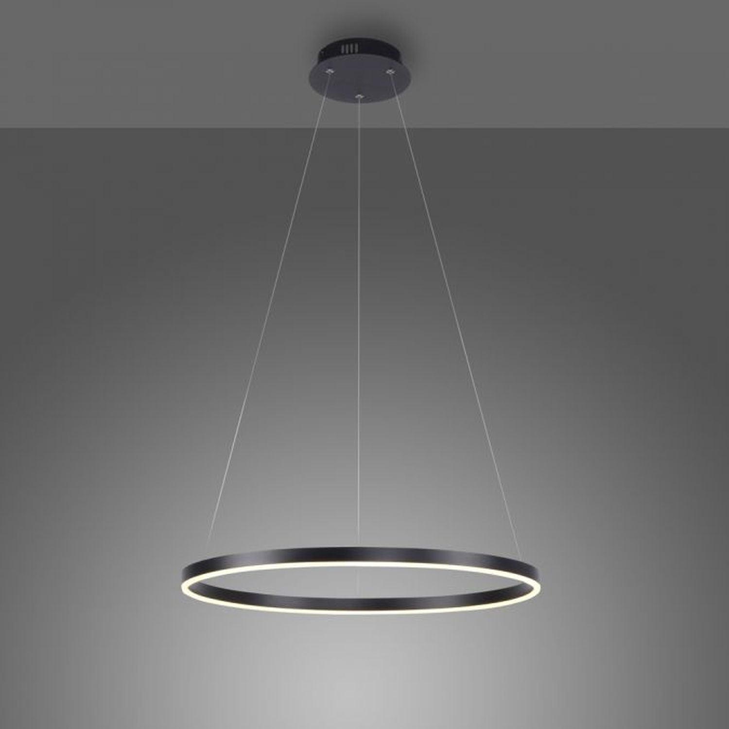 Dimmbare LED Pendelleuchte Schwarz Ø58,5 cm 3000 K 28 W Leuchter, Lampe, Deckenleuchte