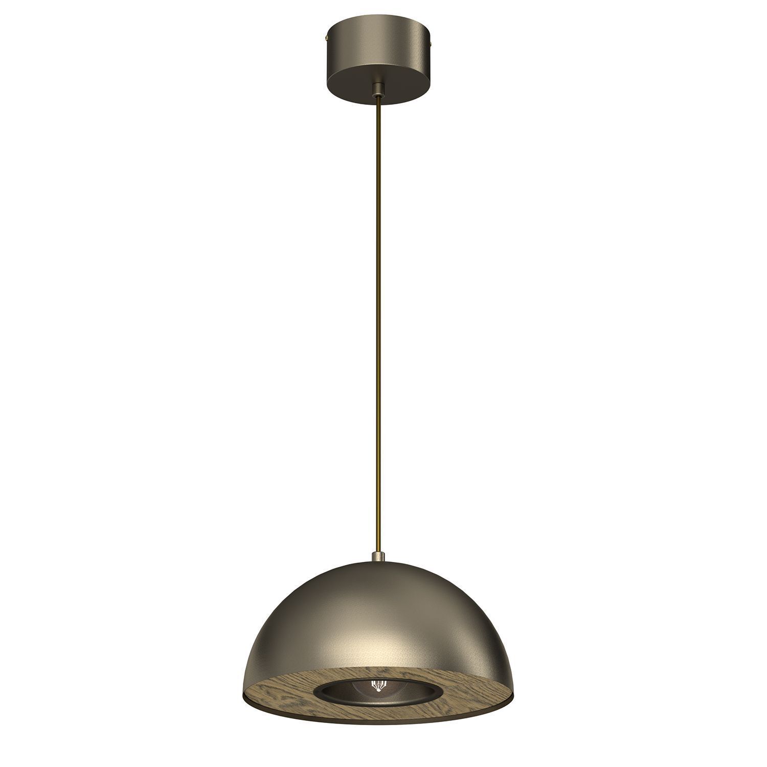 Pendelleuchte Metall in Titanium Gold Ø28 cm E27 Loft