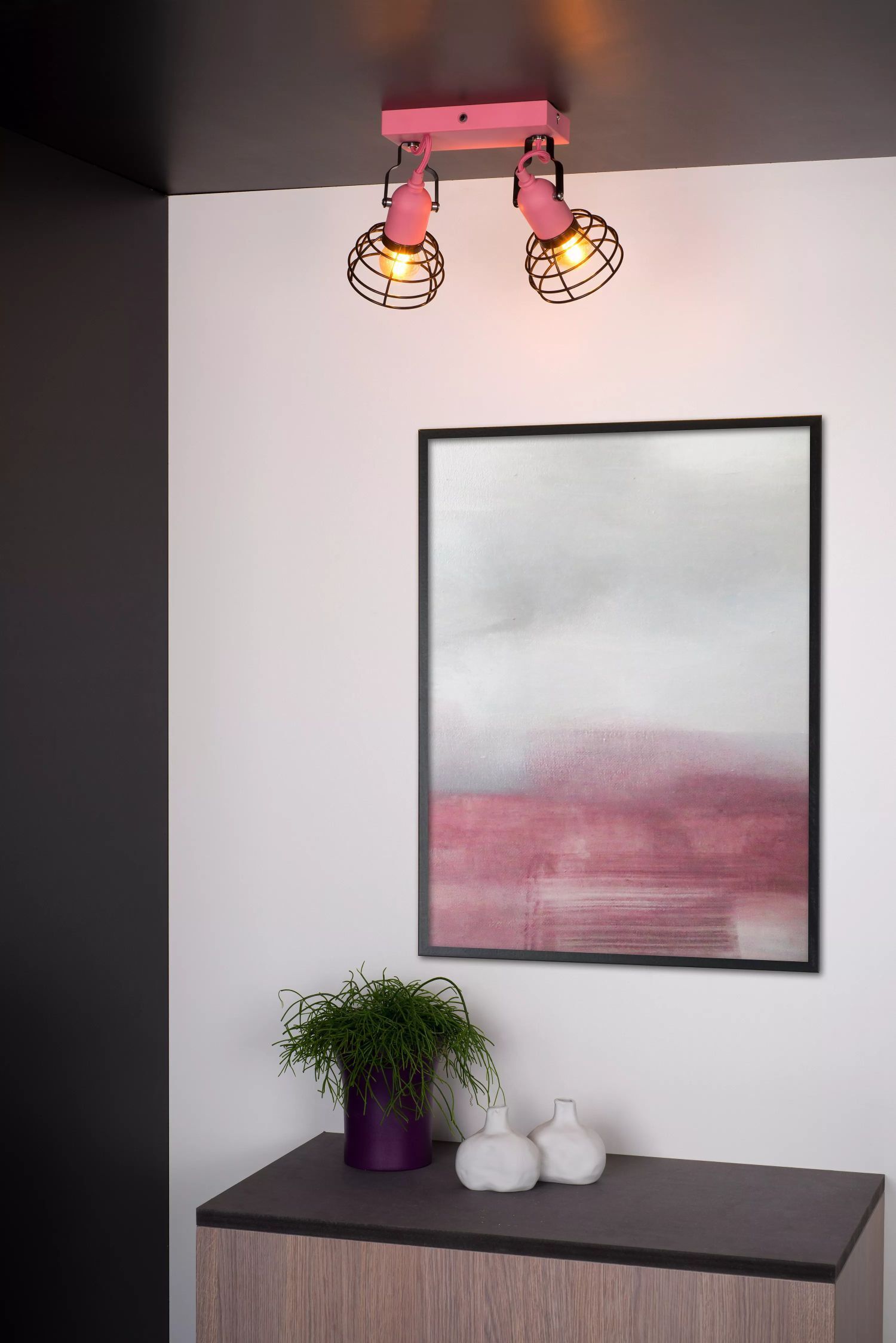 Pflanze, Drinnen, Innenarchitektur, Malerei, Lampe