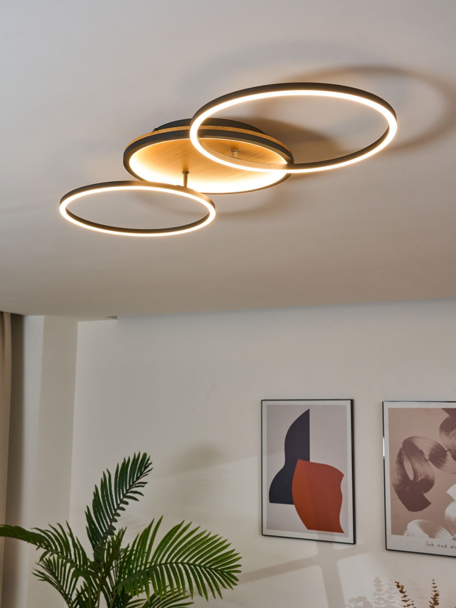 Deckenleuchte, Pflanze, Leuchte