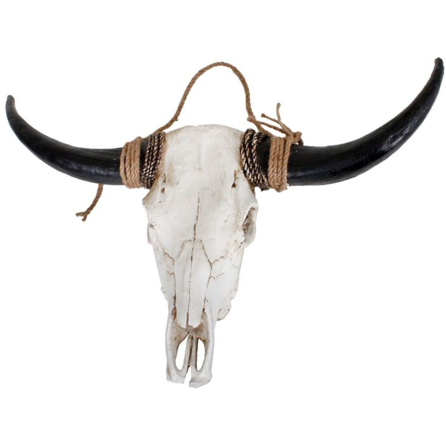 Tier, Stier, Säugetier, Rinder, Langhorn