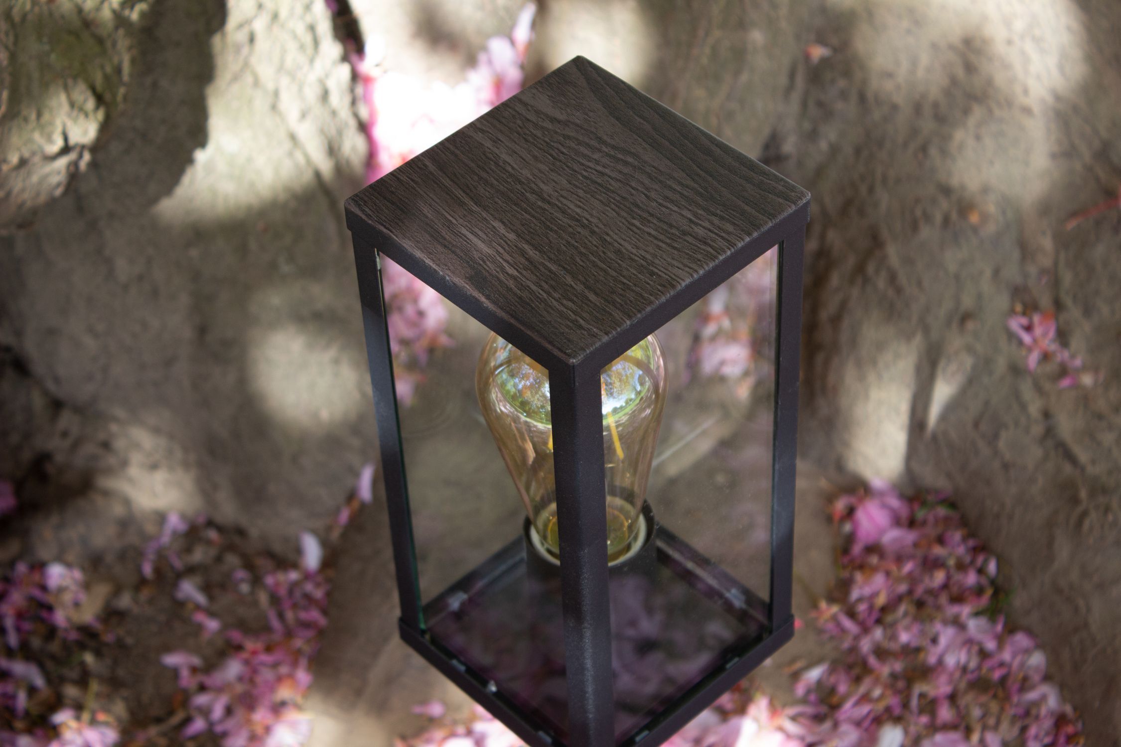 Lampe
