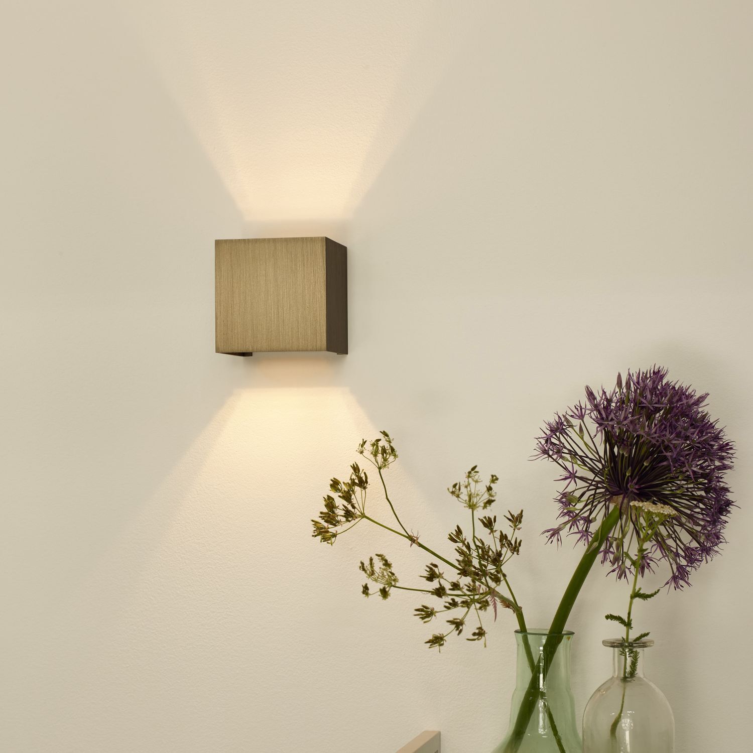 Lampe, Blume, Pflanze