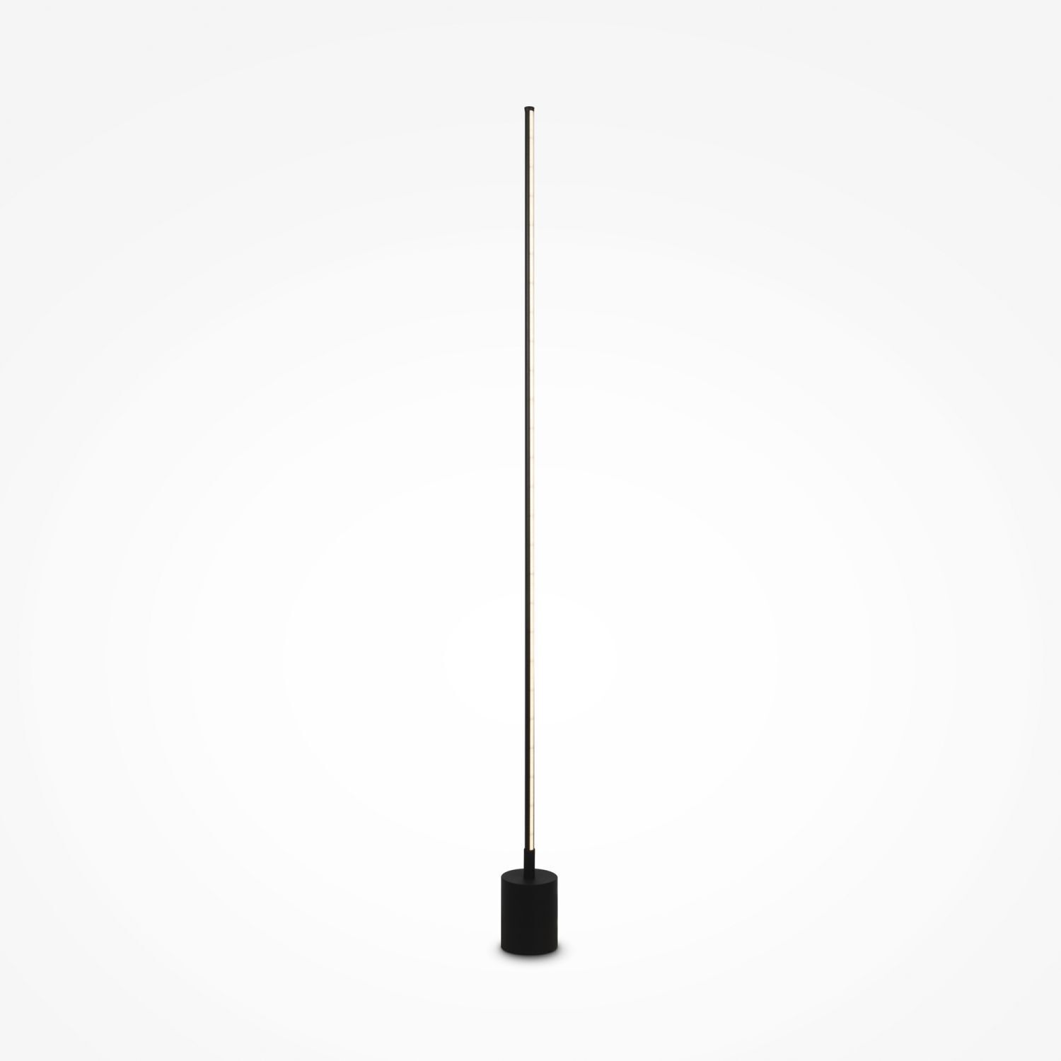 Elektrisches Gerät, Mikrofon