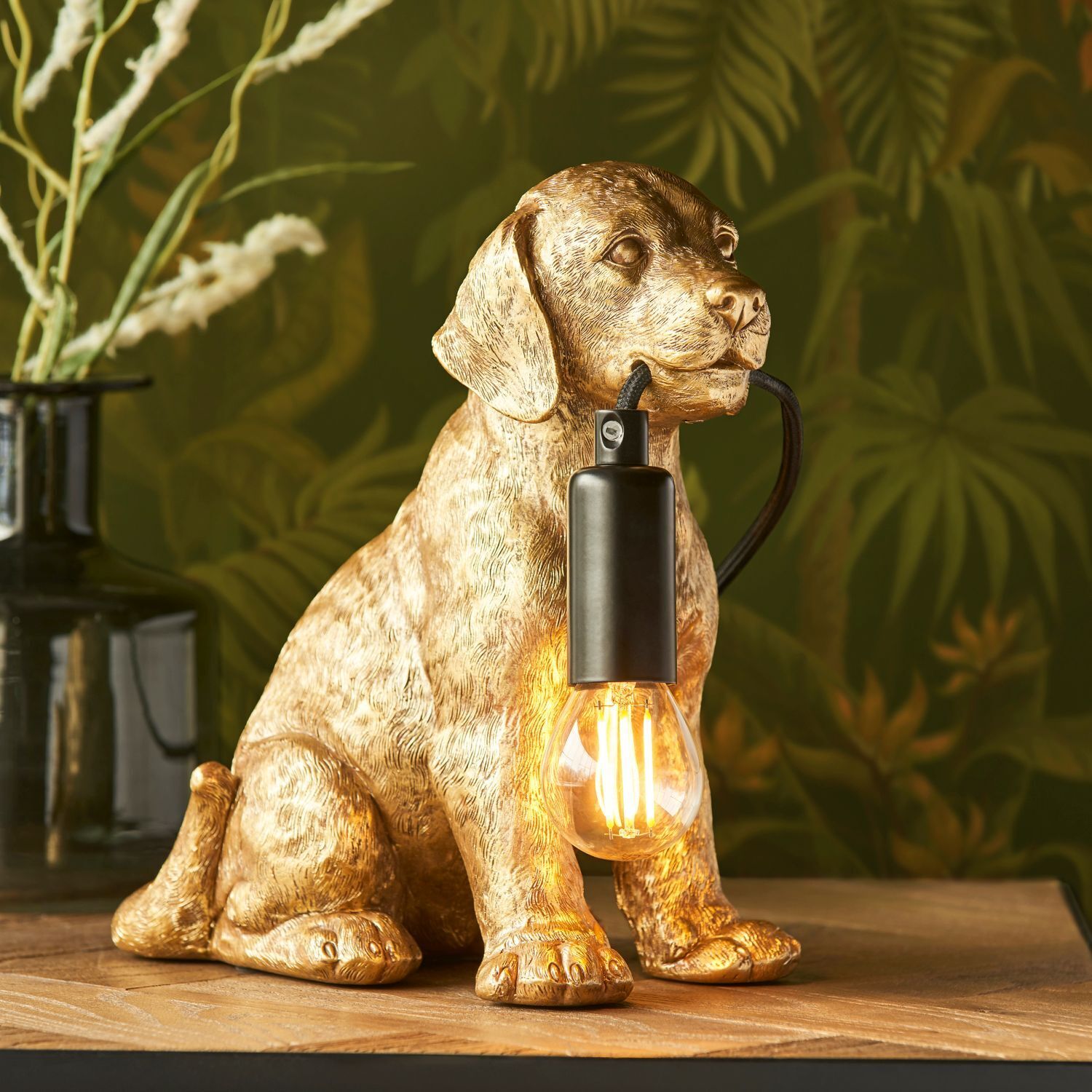 Lampe, Hund, Säugetier, Haustier