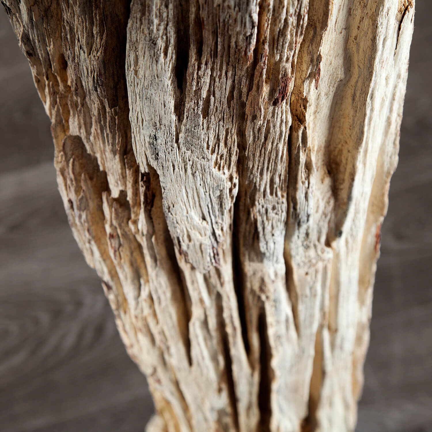 Stehleuchte 175cm Modern individuell Treibholz Holz, Schaden am Haus, Schaden durch Termiten