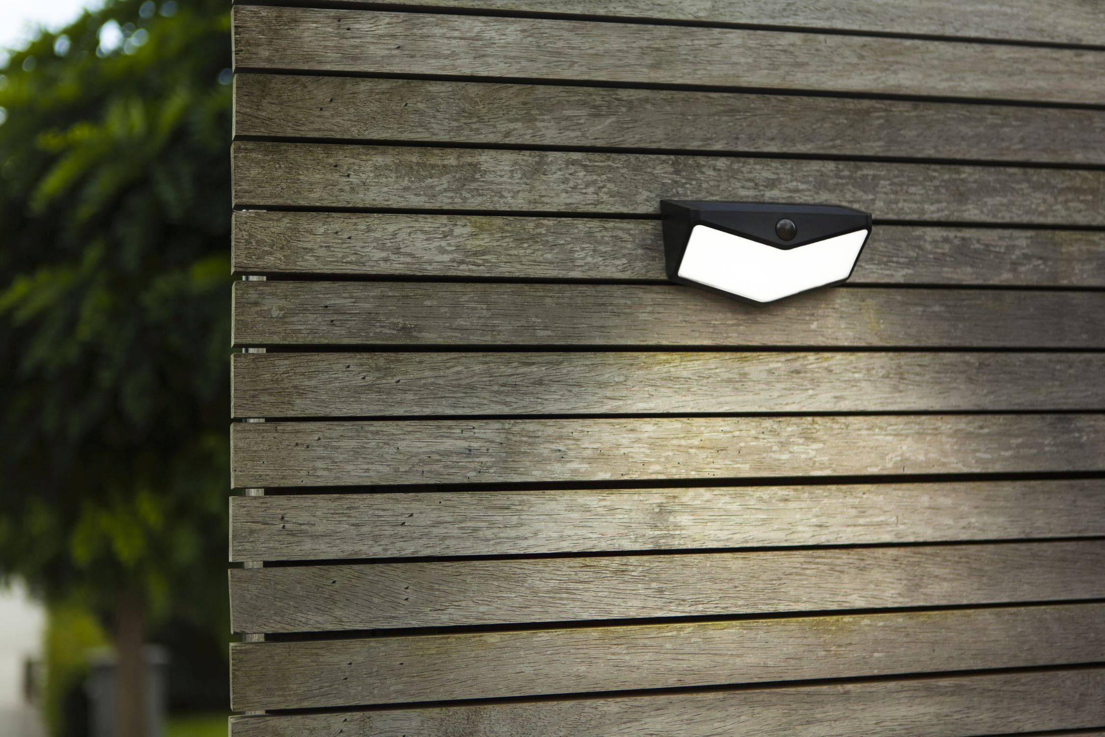 Drinnen, Innenarchitektur, Holz